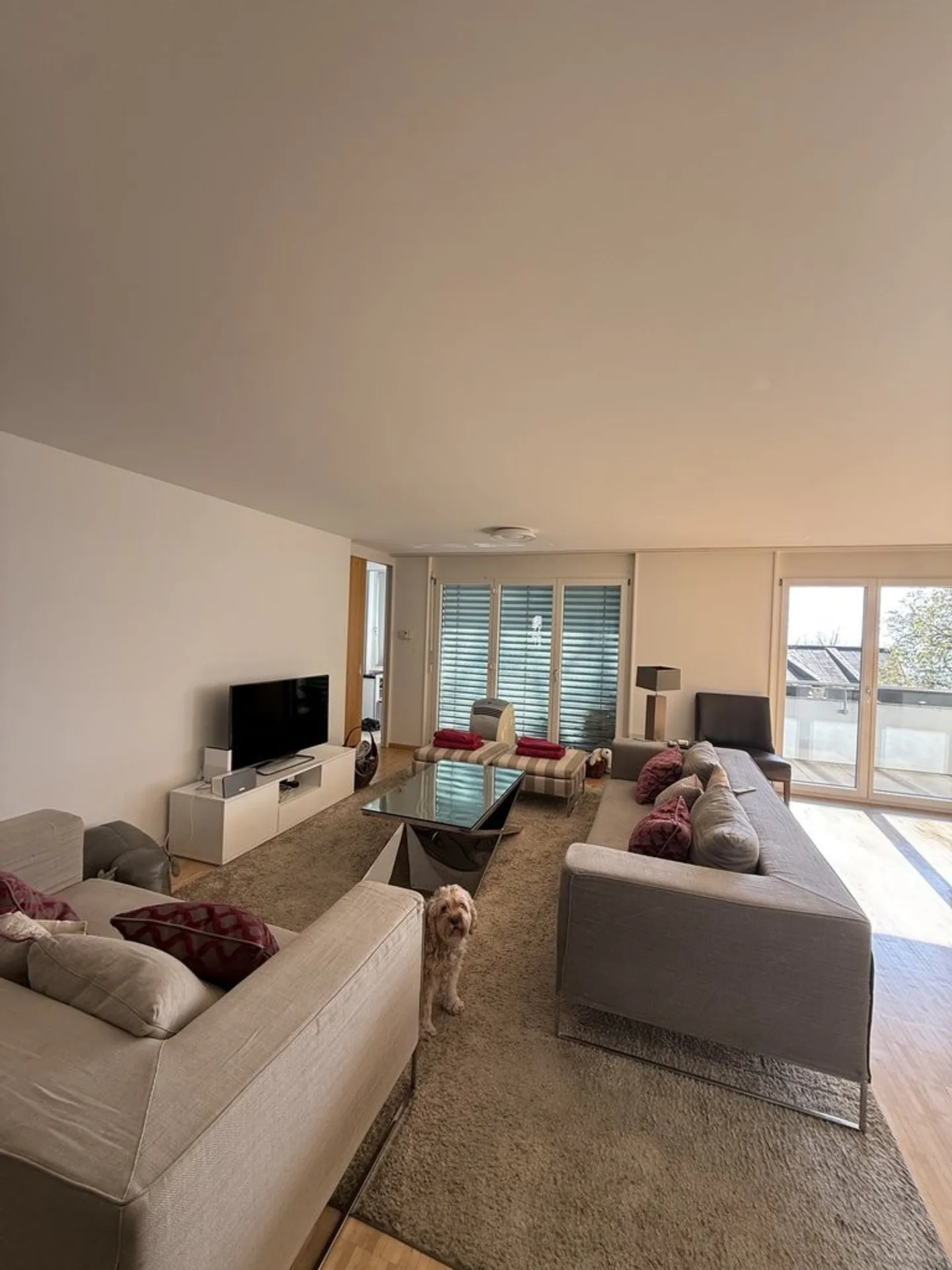 A saisir ! Logement avec vue de rêve sur le lac Léman et les Alpes ! - Photo 3 of 10