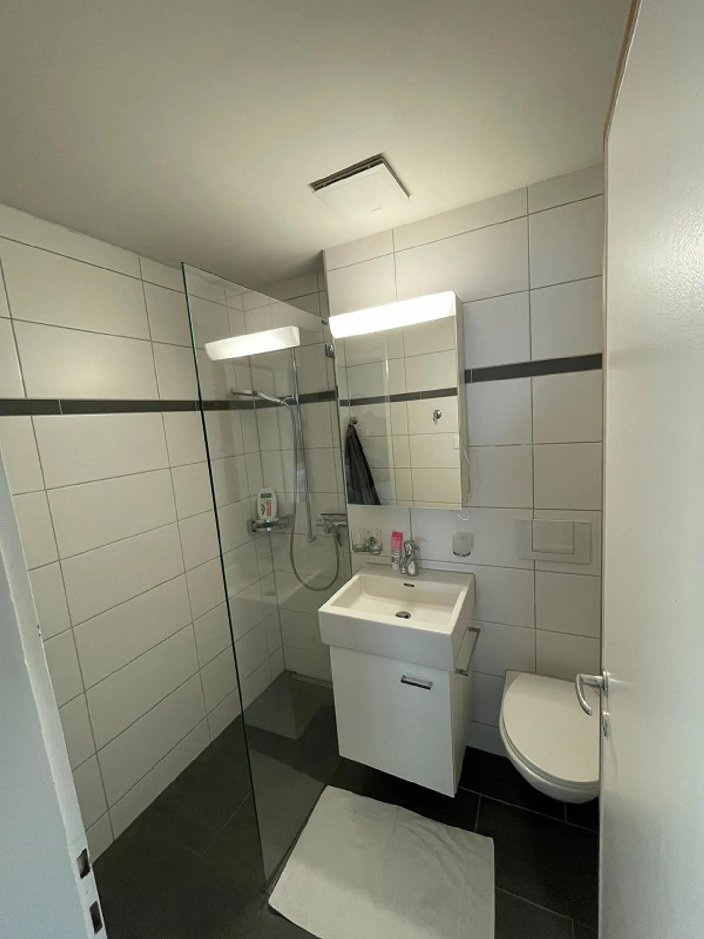 Sunny, bright apartment in a quiet residential area - Photo 5 of 5