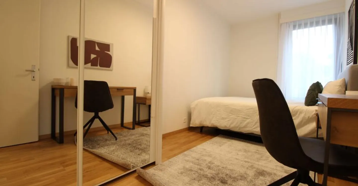 Comfortable Room in Geneva - Photo 1 of 17