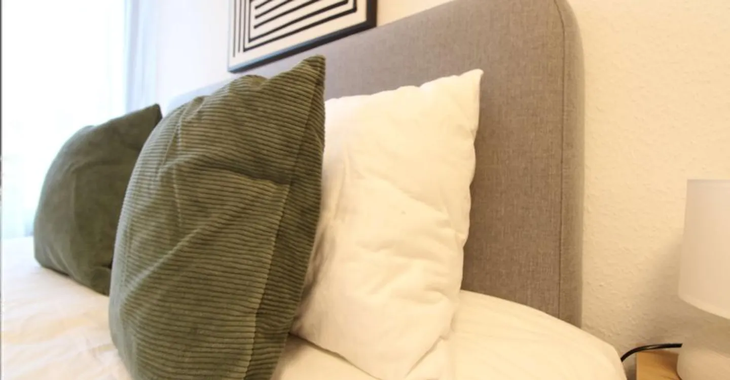 Comfortable Room in Geneva - Photo 4 of 17
