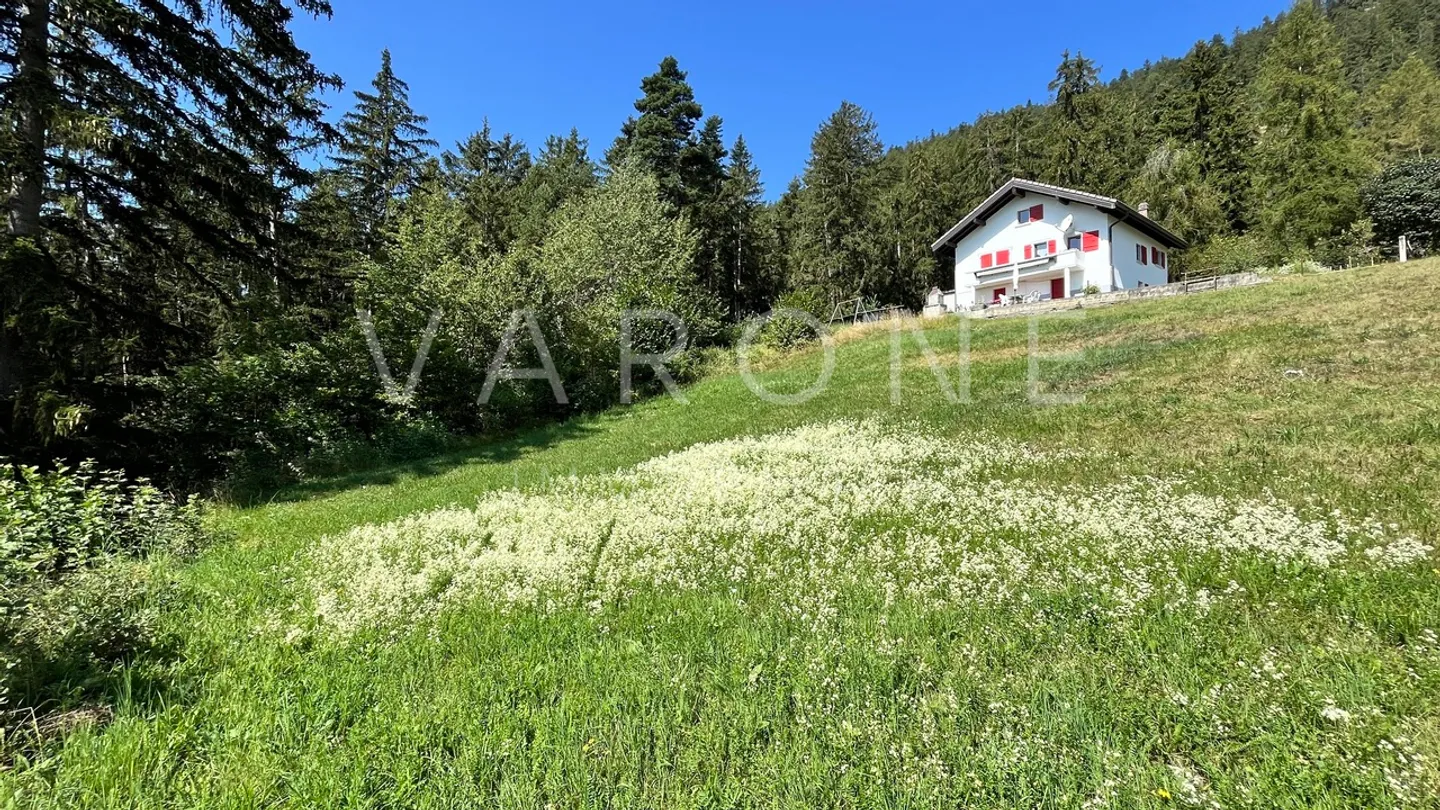 Beau terrain à Savièse - Photo 6 sur 9