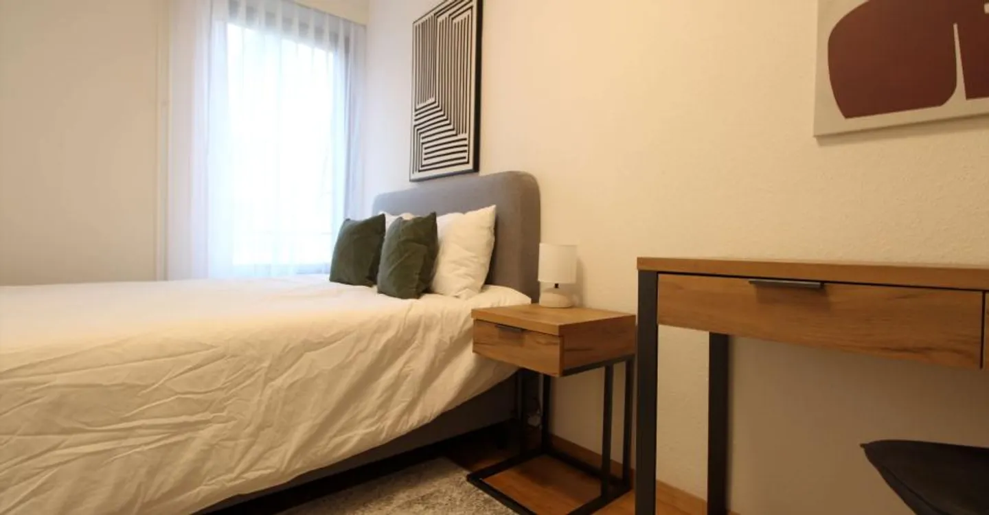 Comfortable Room in Geneva - Photo 7 of 17