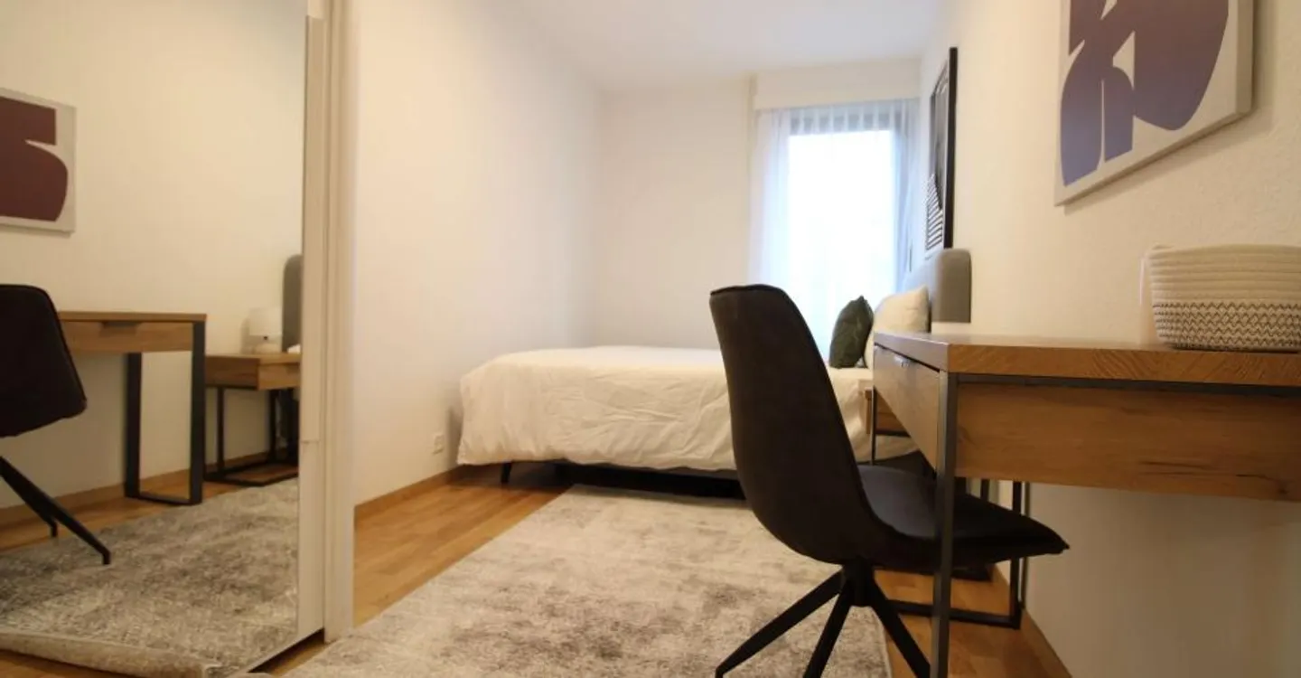 Comfortable Room in Geneva - Photo 5 of 17