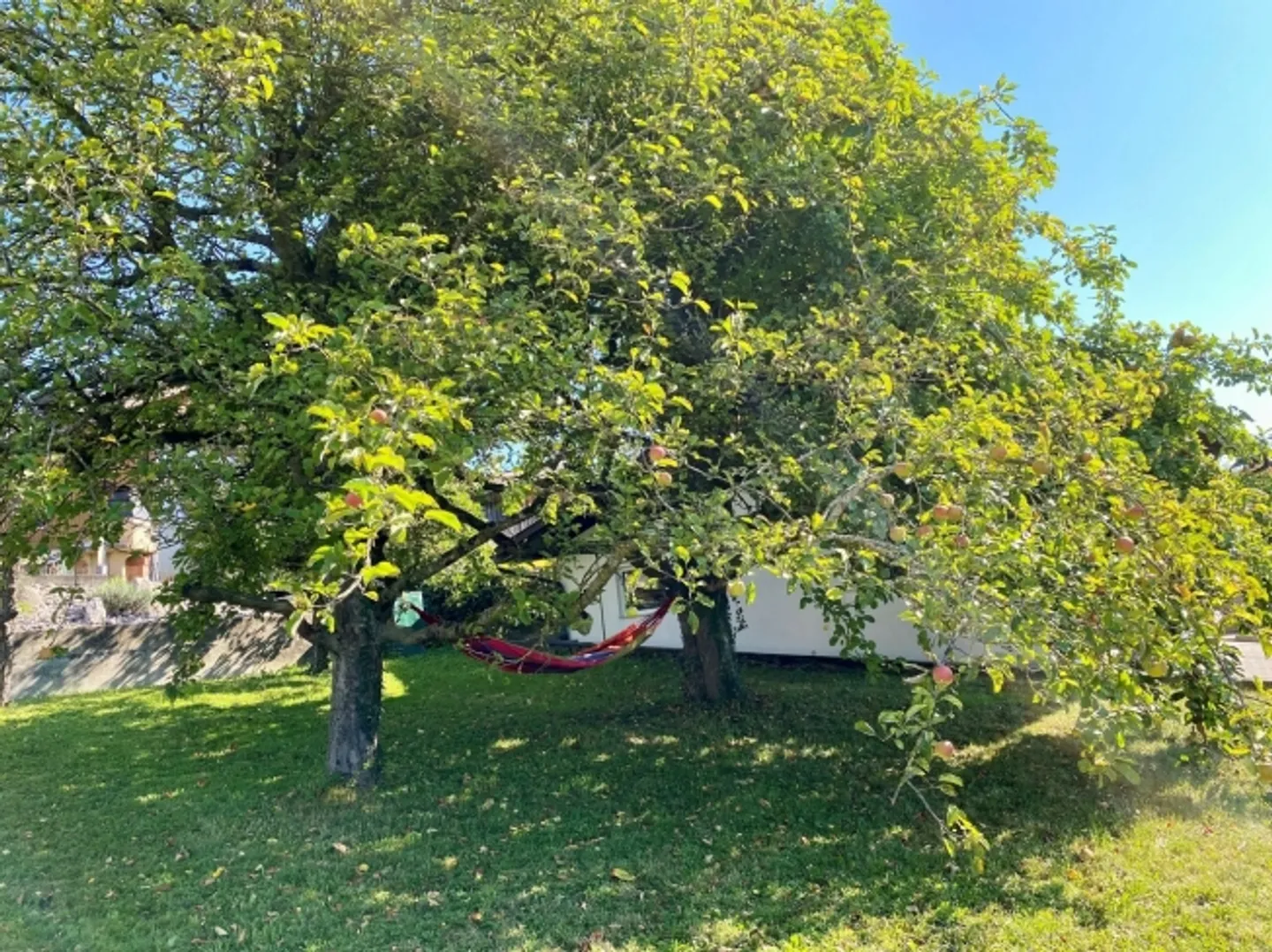 «Mehrfamilienhaus mit drei Wohnungen und grossem Umschwung» - Foto 3 von 20