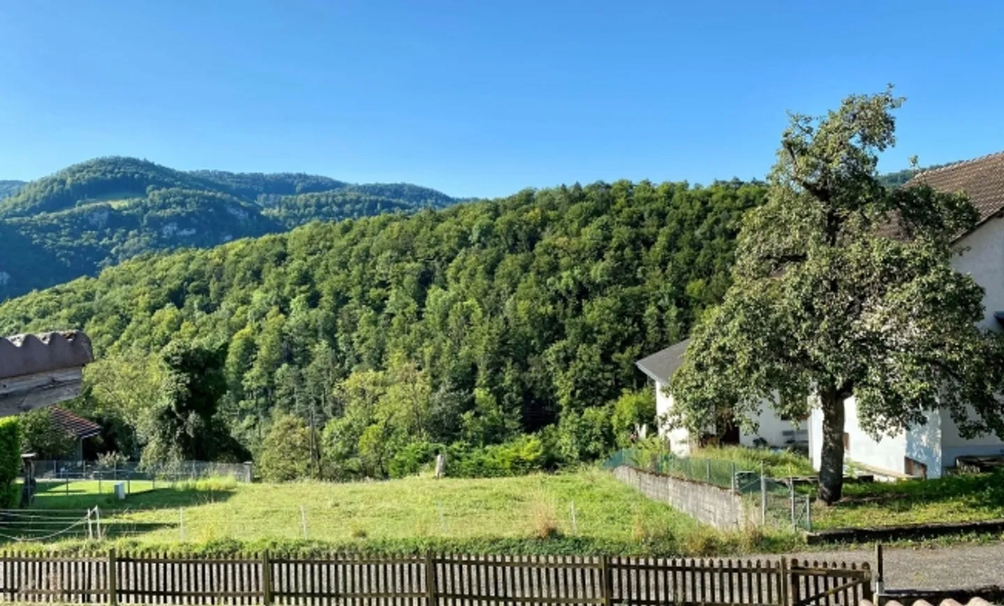 «Mehrfamilienhaus mit drei Wohnungen und grossem Umschwung» - Foto 17 von 20