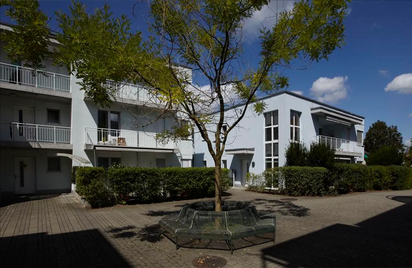 Appartamento in affitto - Foto 3 di 5