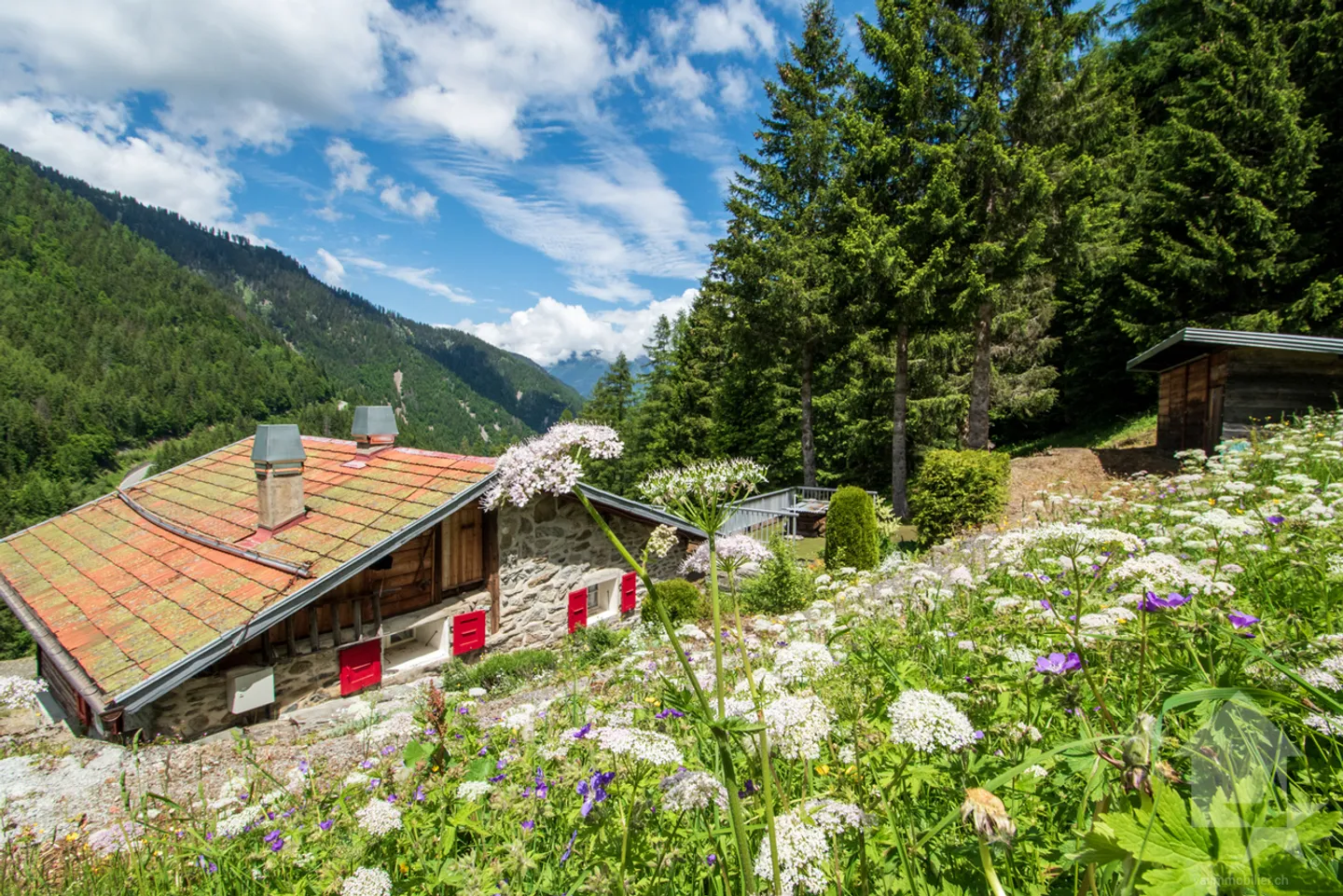 Chalet à rénover au coeur de la nature - Photo 1 sur 17