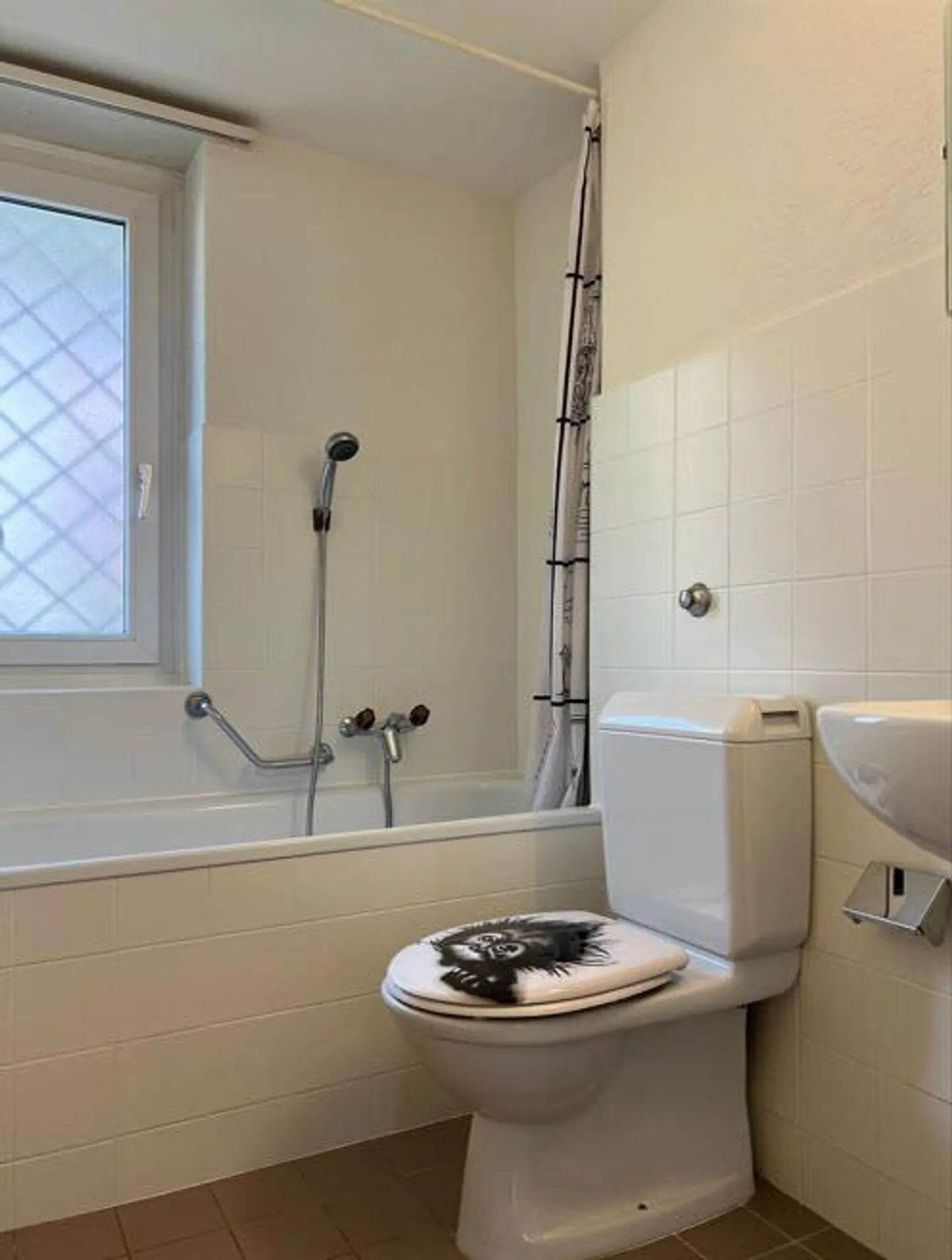 Charmante Wohnung in Muttenz - Foto 4 von 10