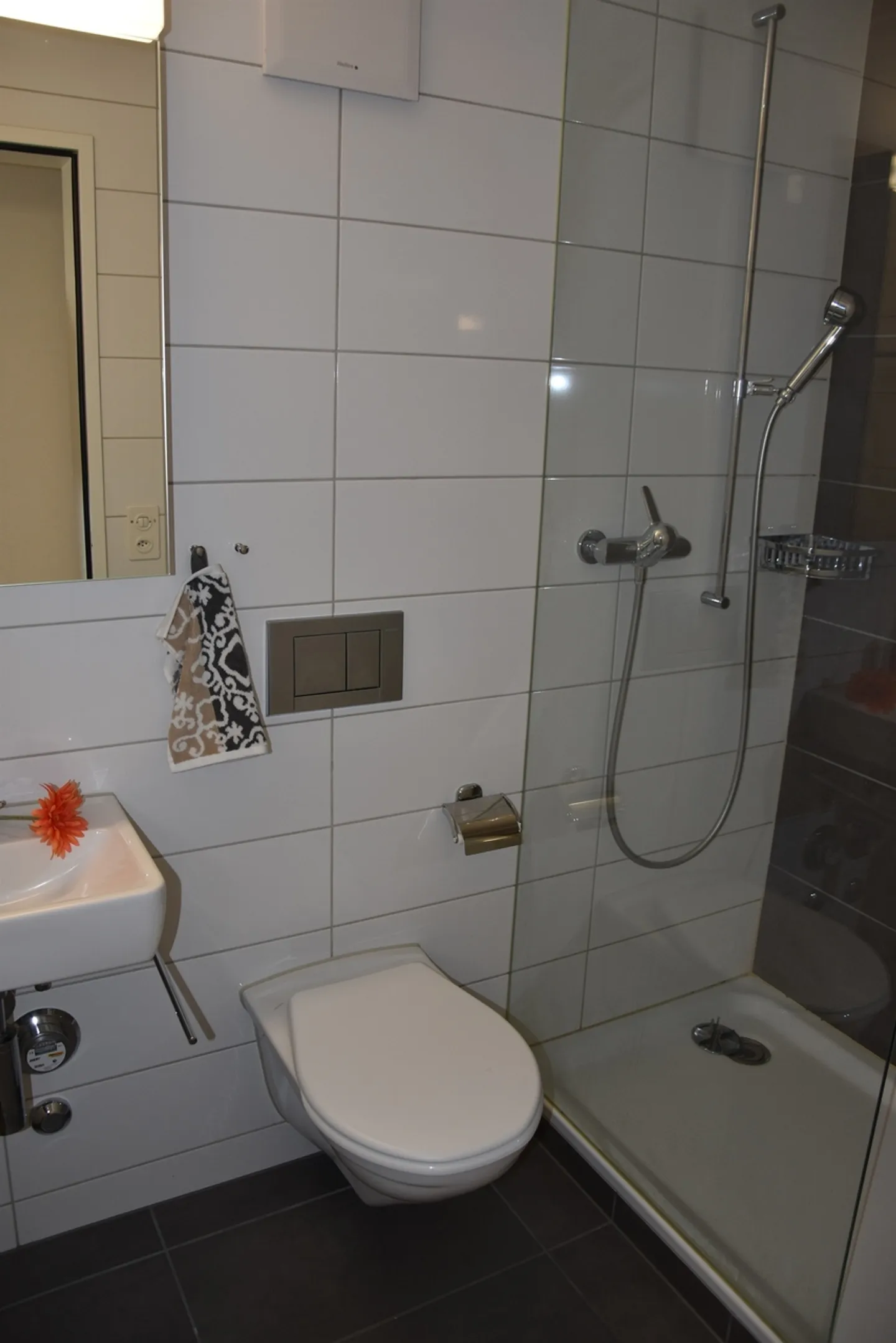 Spacious apartment with fireplace - Photo 9 of 10