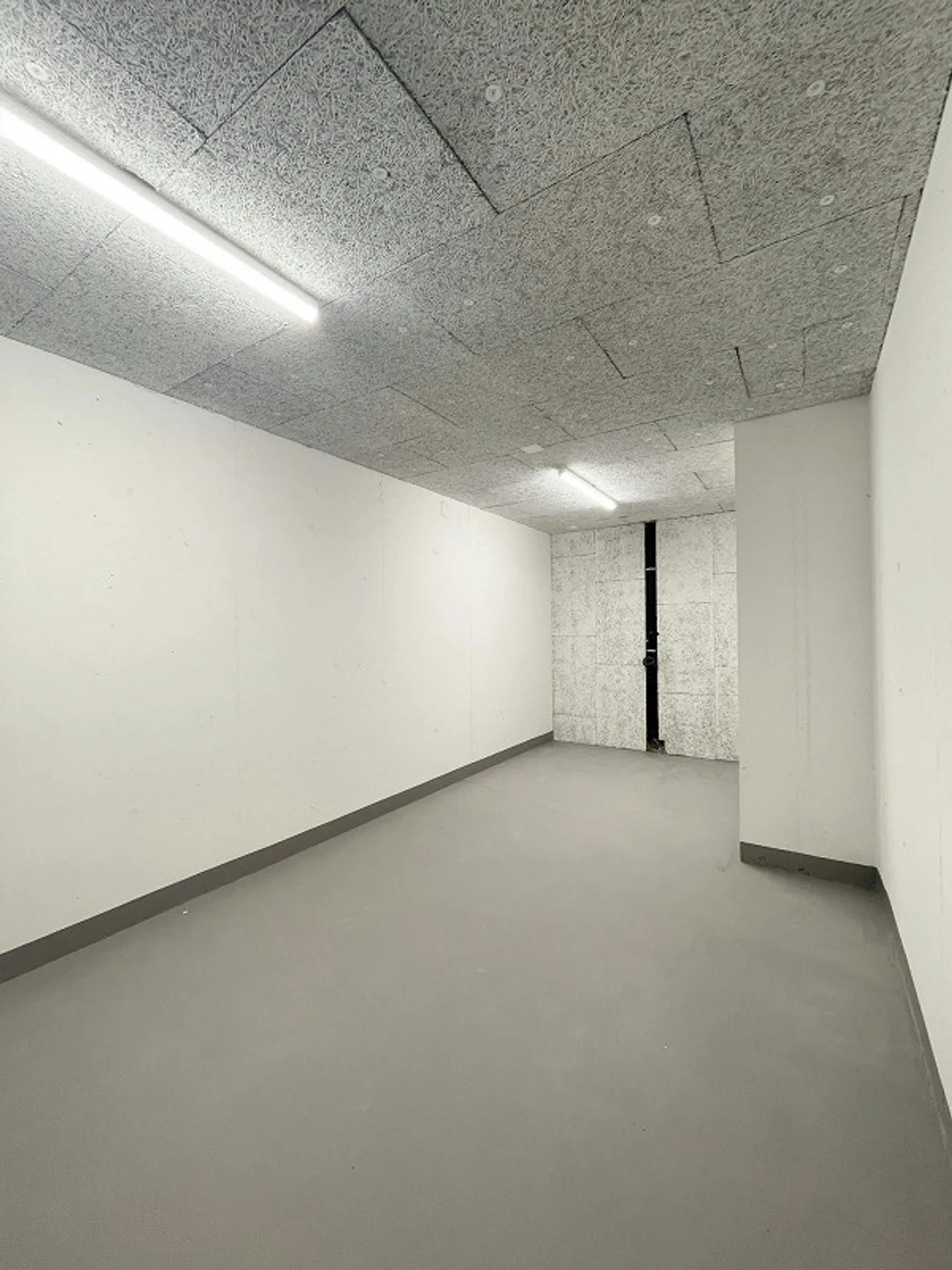 Sunny Garden Apartment in Preferred Location in Höngg - Photo 9 of 9