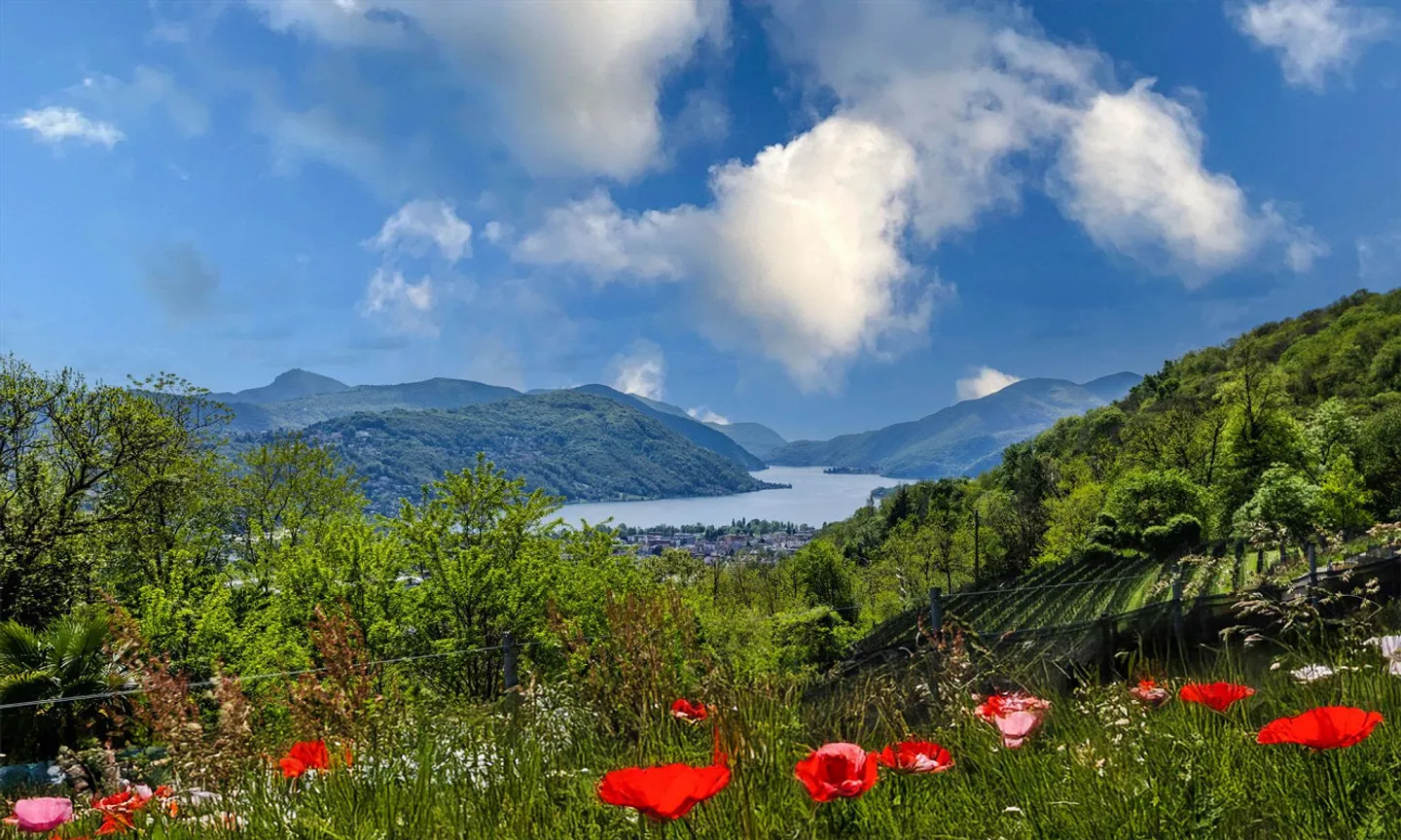 RENT TO BUY - RUSTIC 2.5 ROOMS IN NATURE IN CADEMARIO - Photo 6 of 11