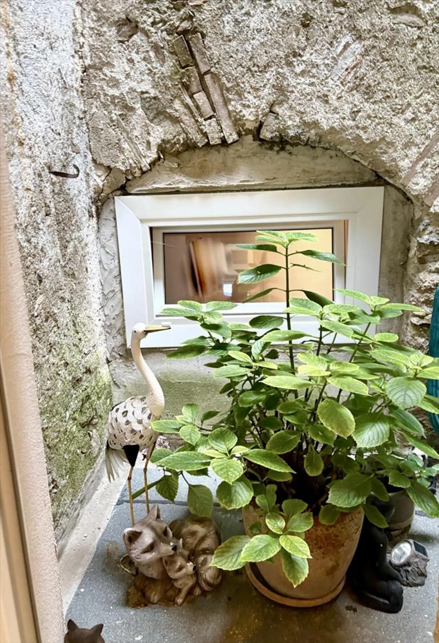 Casa a gradini in affitto - Foto 8 di 8