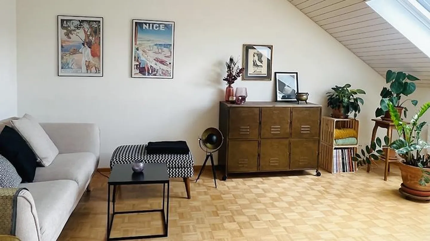 2 ROOM APARTMENT IN BASEL, FURNISHED, TEMPORARY - Photo 1 of 9