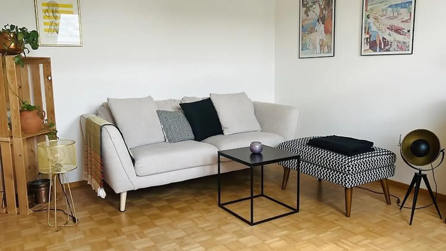 2 ROOM APARTMENT IN BASEL, FURNISHED, TEMPORARY - Photo 3 of 9
