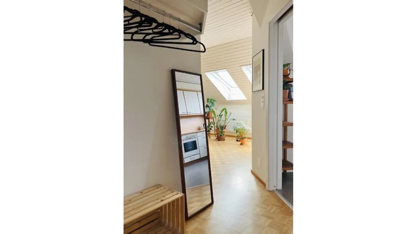 2 ROOM APARTMENT IN BASEL, FURNISHED, TEMPORARY - Photo 6 of 9
