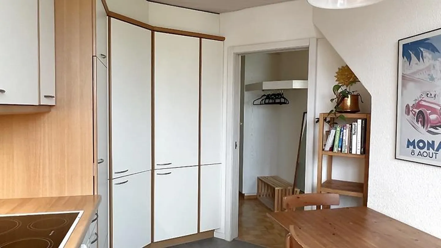 2 ROOM APARTMENT IN BASEL, FURNISHED, TEMPORARY - Photo 7 of 9