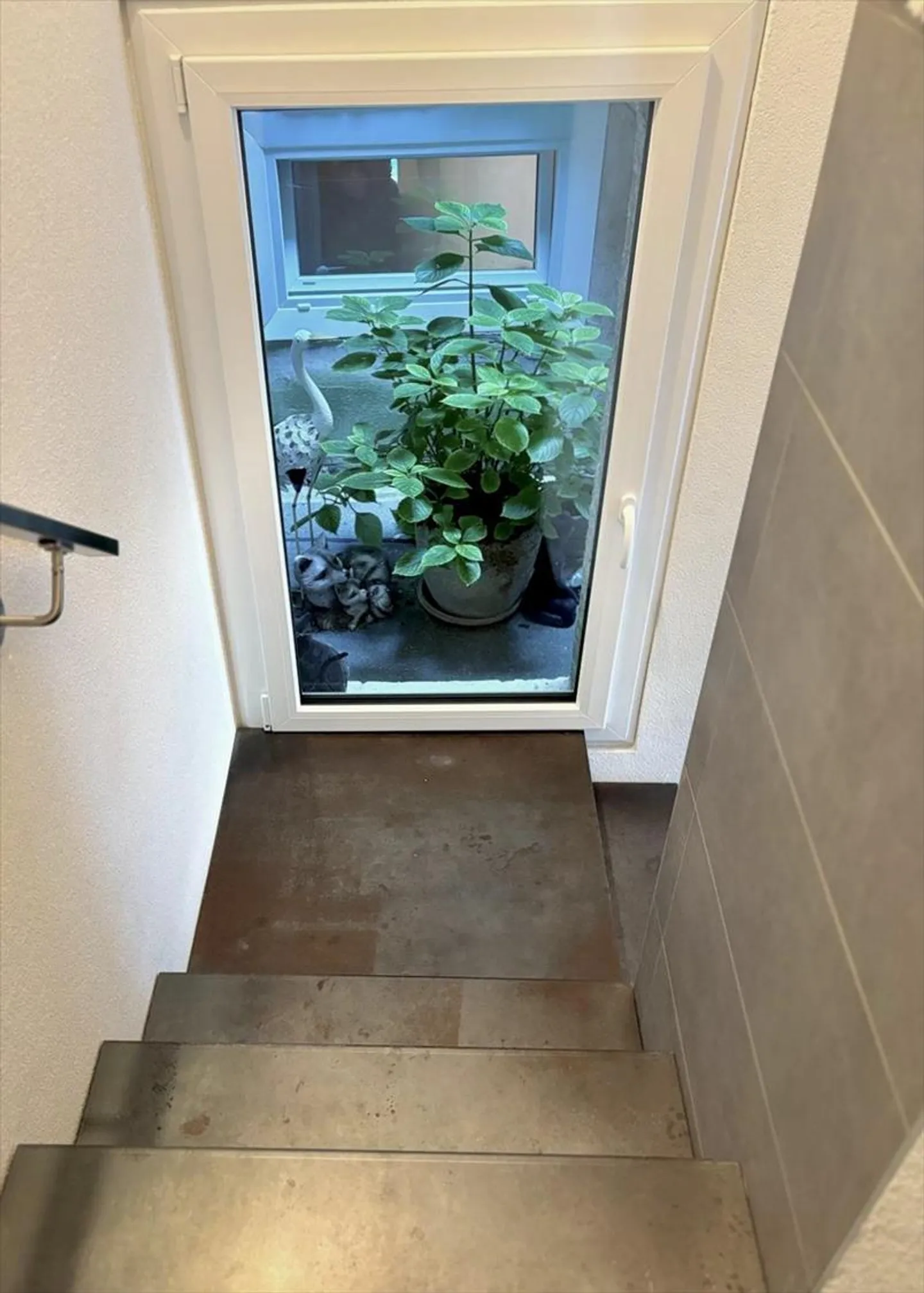 Casa a gradini in affitto - Foto 4 di 8