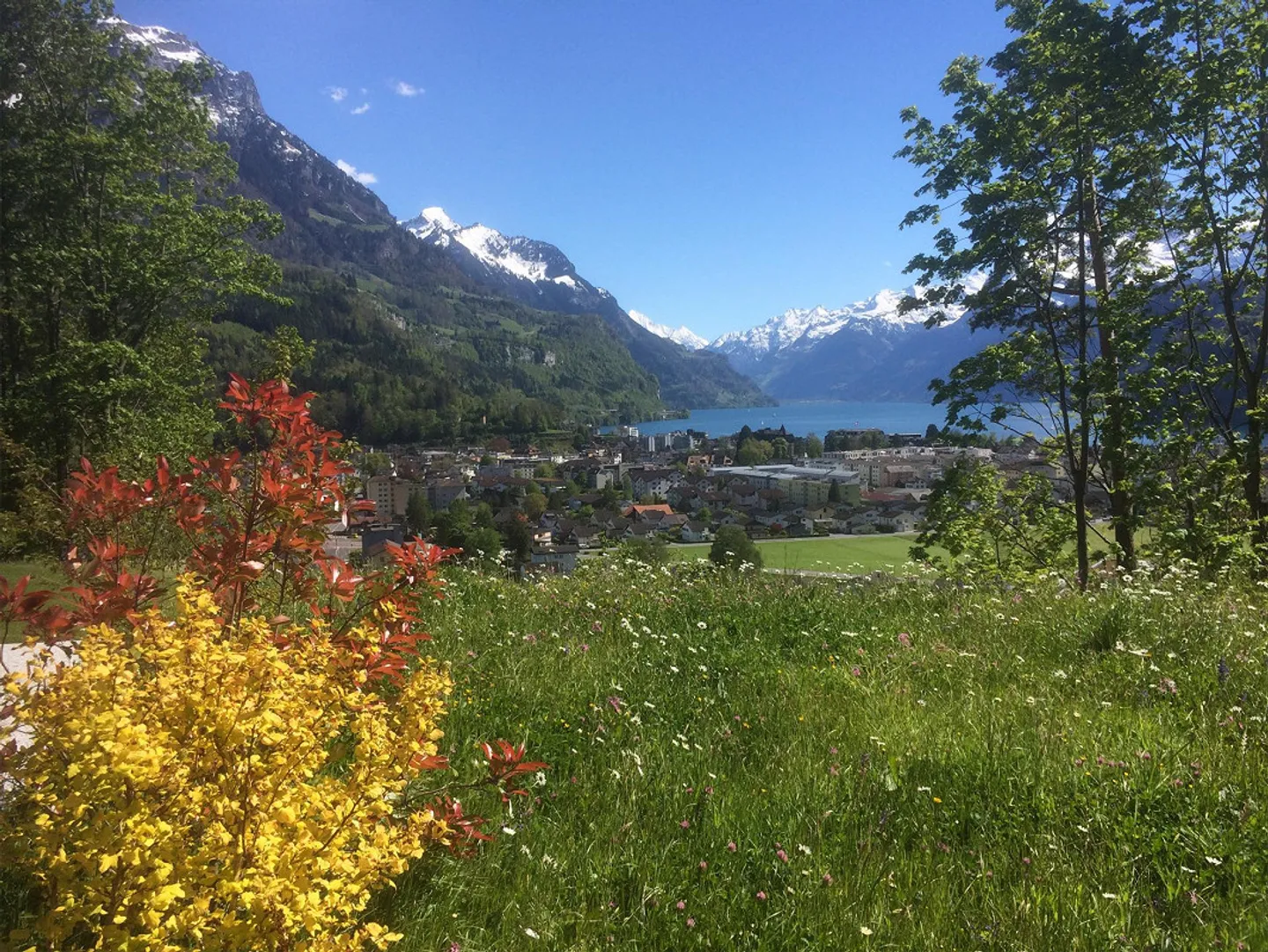 Appartamento giardino esclusivo con vista lago e piscina in comune - Foto 6 di 14