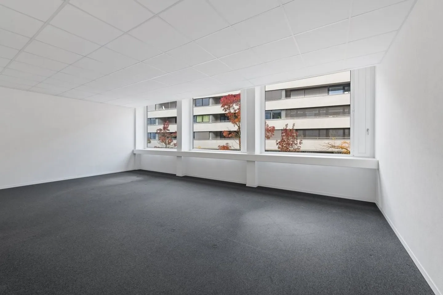 Votre nouveau lieu d'affaires au cœur d'Aarau ! - Photo 6 sur 7