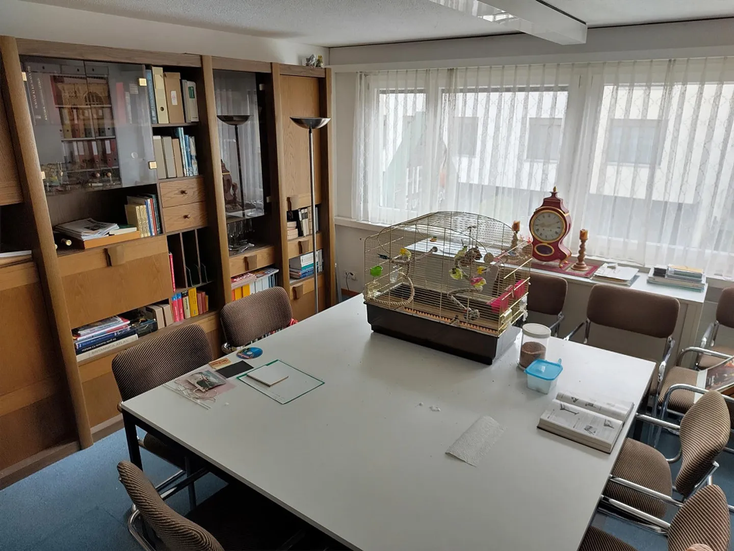 4,5 stanze più studio/pratica - Foto 5 di 9