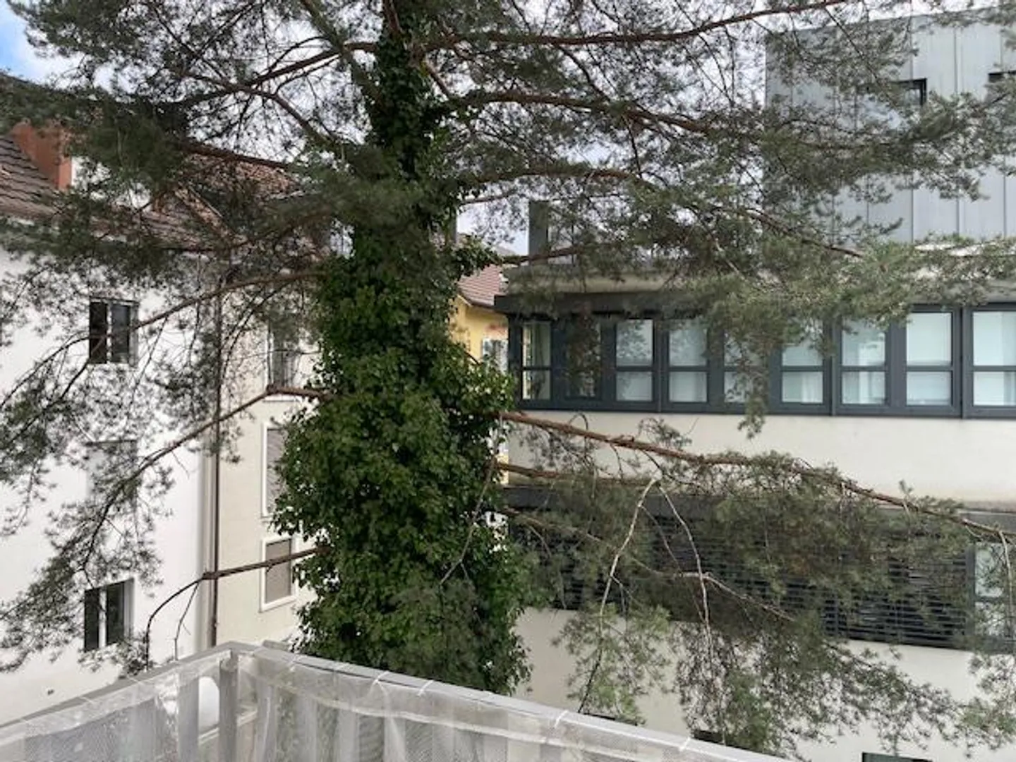 Spacious Seefeld Apartment - Photo 5 of 8