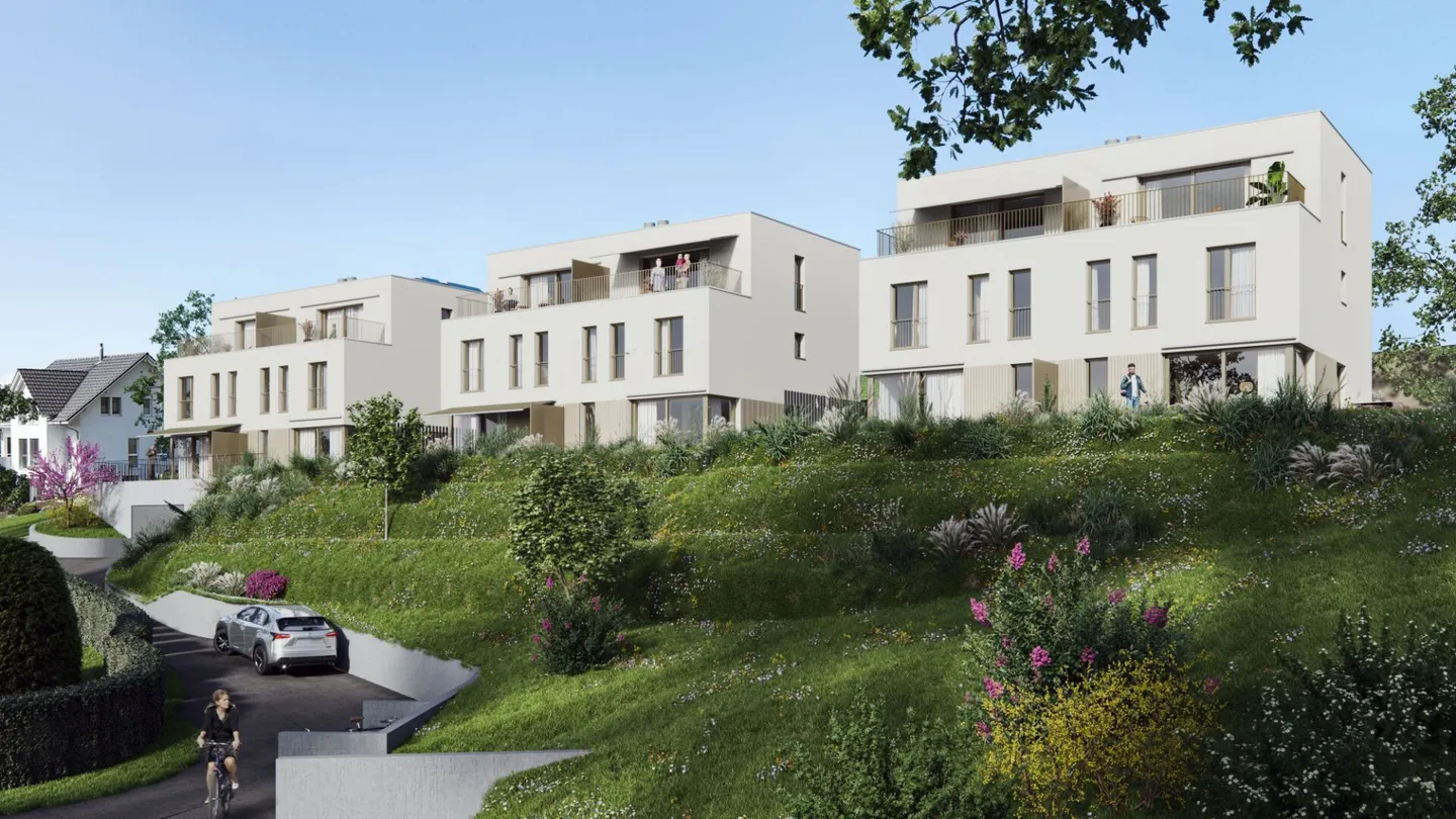 Vue panoramique - Nouvelle construction de 3 maisons individuelles jumelées à Neuenegg - Photo 1 sur 12