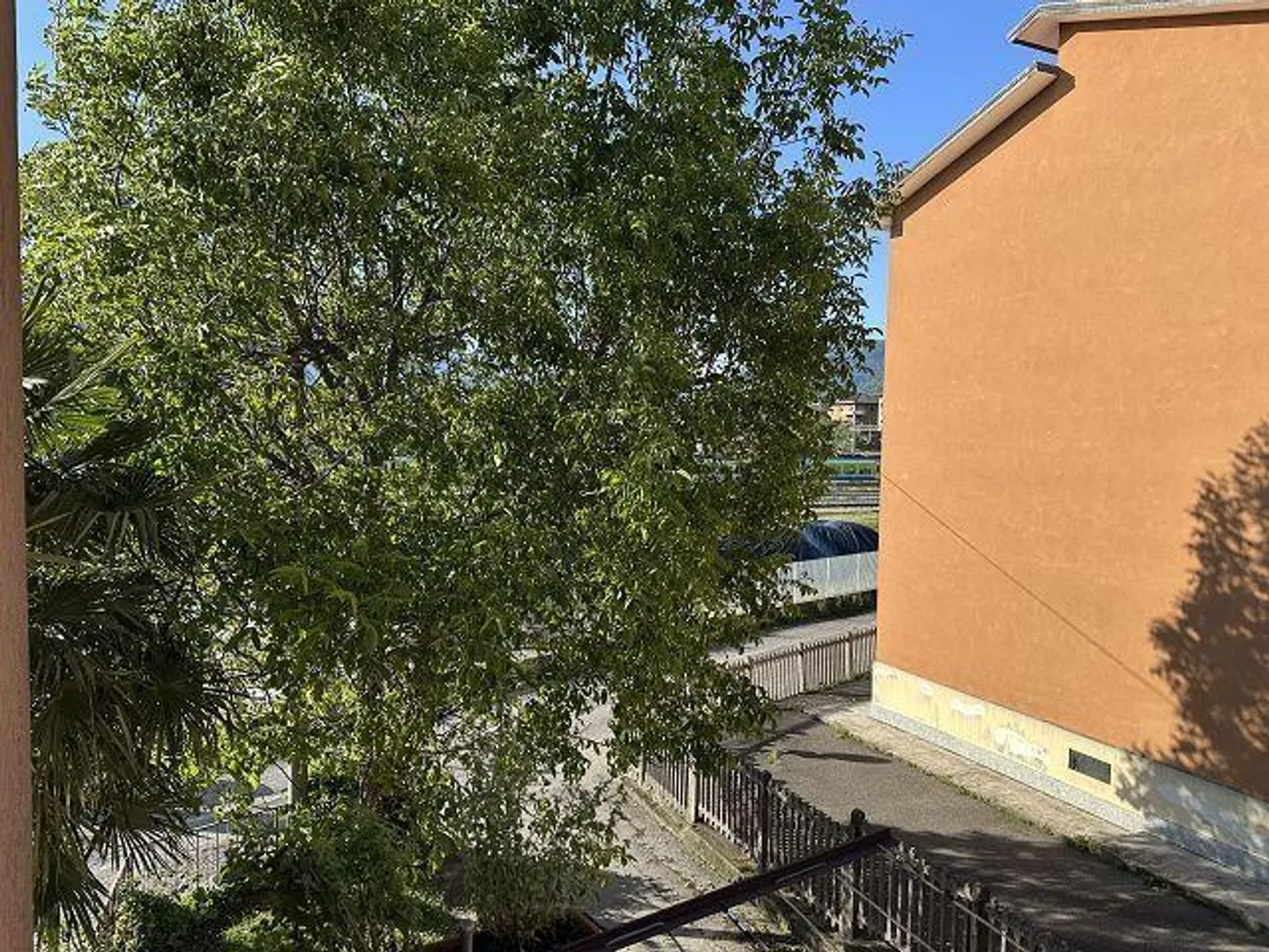 Studio in affitto - Foto 14 di 21