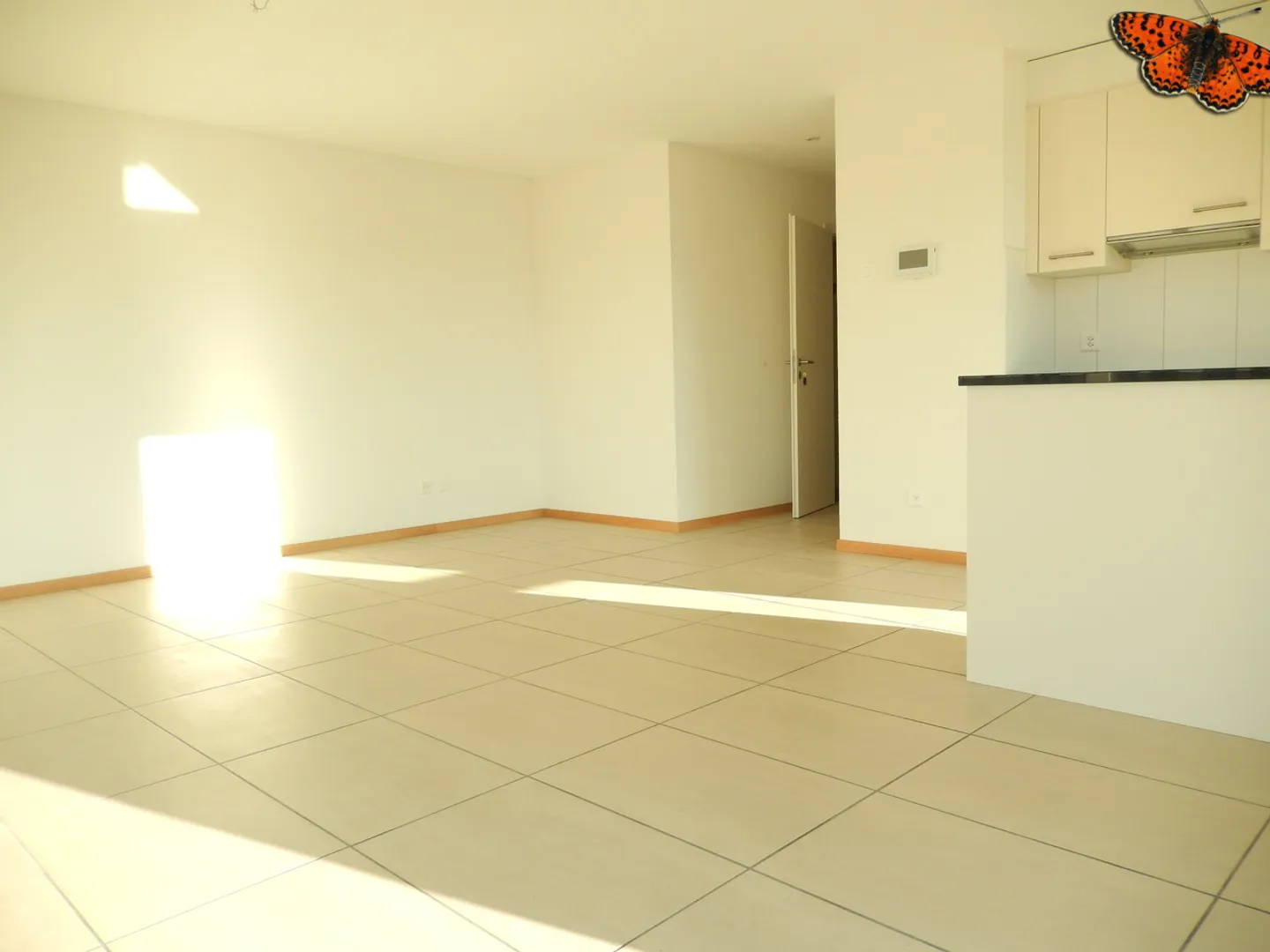 Beautiful 2 ½ Room - Magnificent View! - Photo 3 of 10