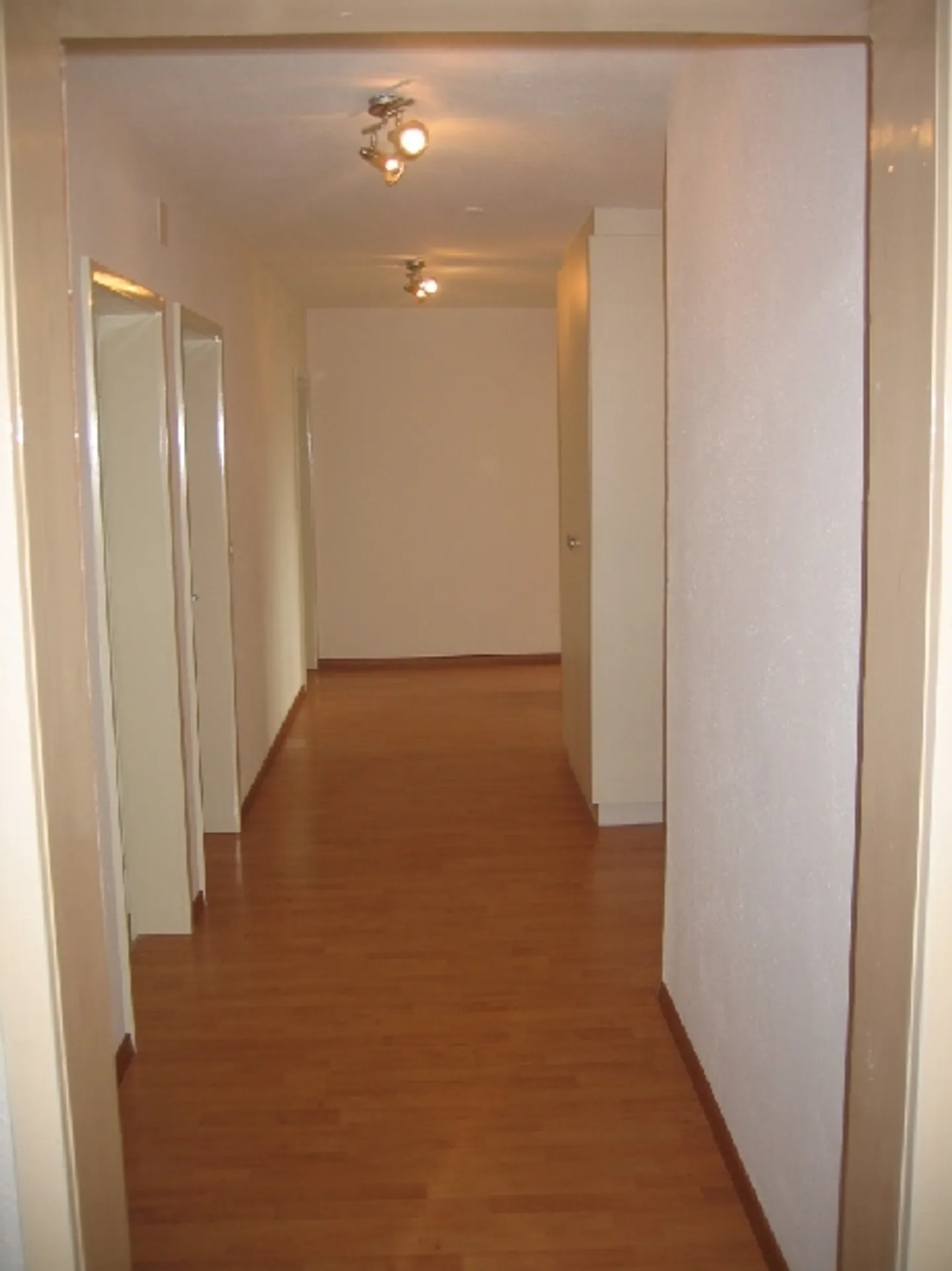 Sonnige 4 1/2-Zimmer Wohnung mit Cheminée - Foto 4 von 13