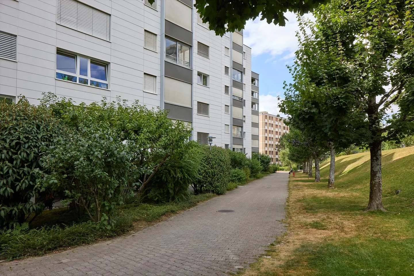 Appartement 1 pièce - Photo 4 sur 7