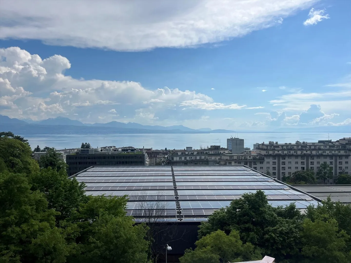 3.5 Room Apartment - Photo 2 of 12