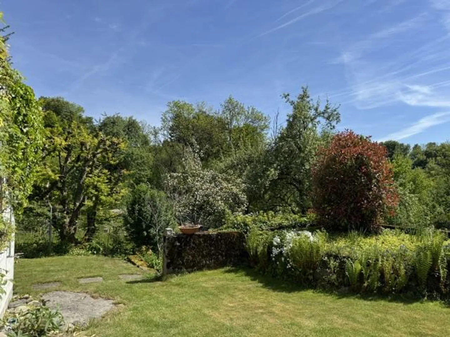 Charmantes Einfamilienhaus - Foto 3 von 16