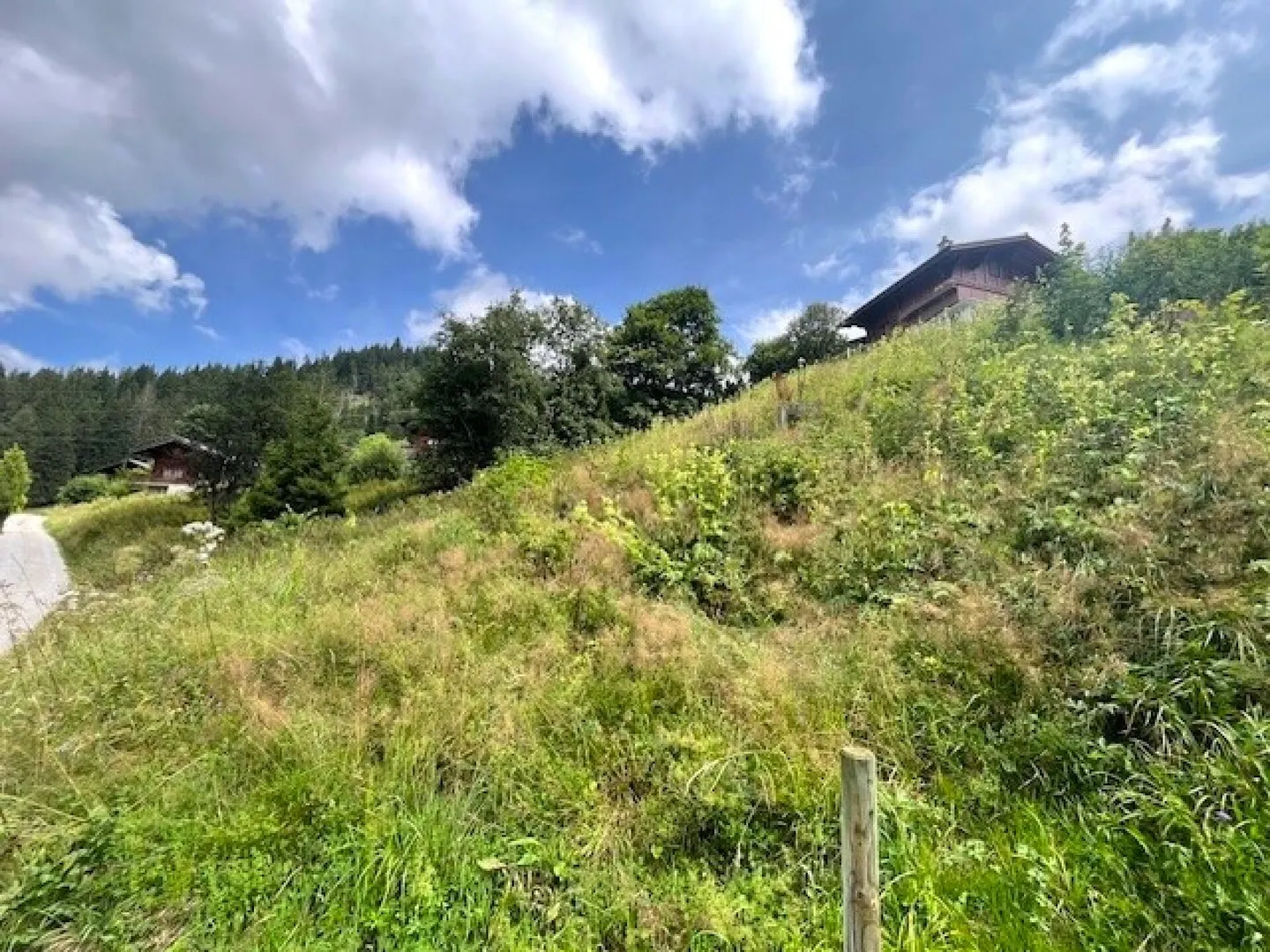 Terrain à bâtir spacieux dans un emplacement élevé à Plaffeien FR - Schwarzsee - Photo 6 sur 16