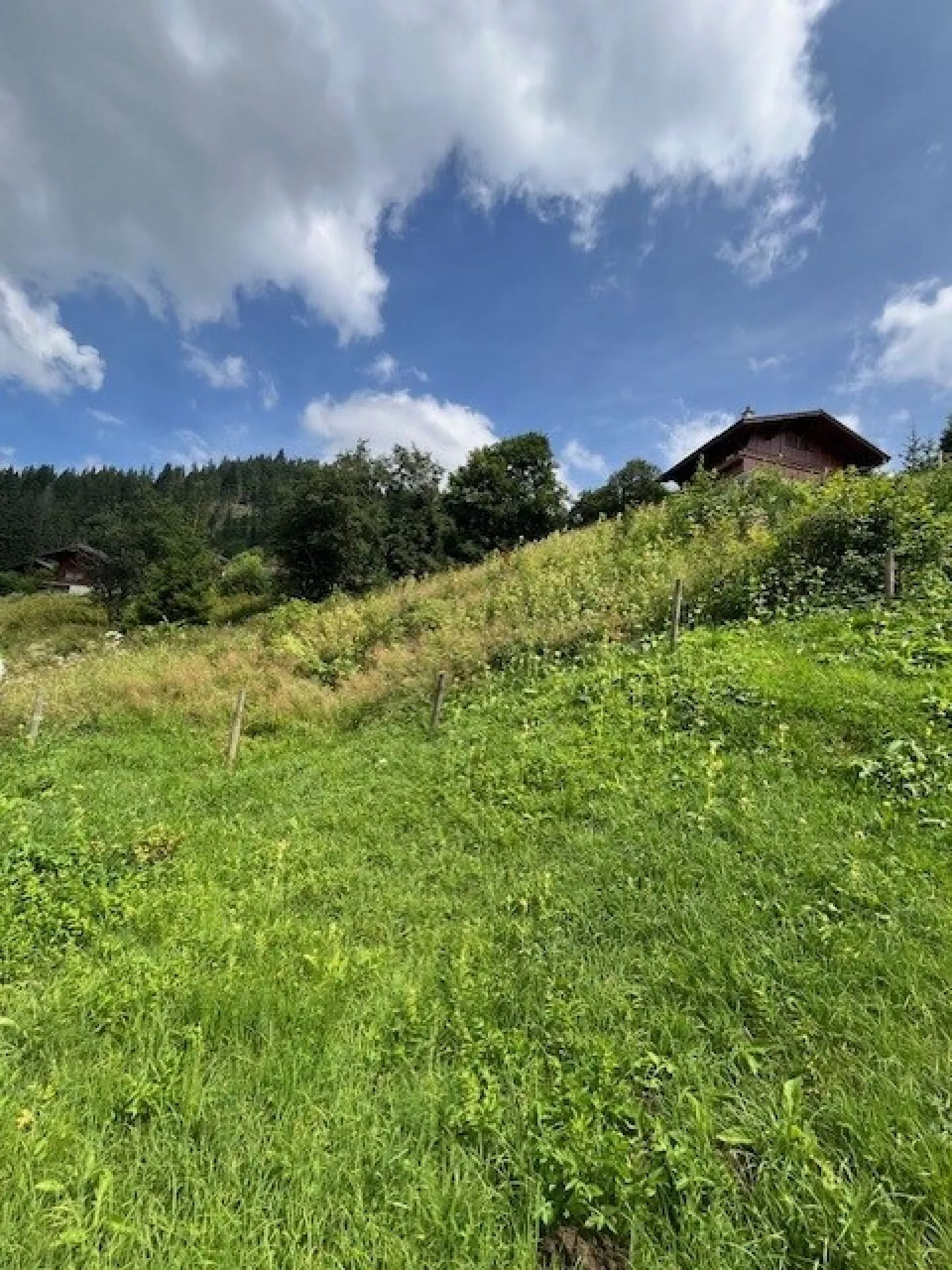 Terrain à bâtir spacieux dans un emplacement élevé à Plaffeien FR - Schwarzsee - Photo 11 sur 16