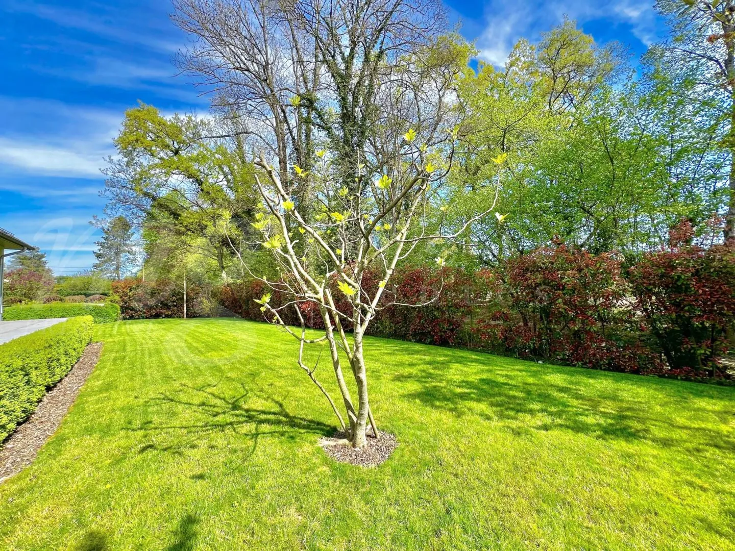 SUPERBE UND GROSSES HAUS MIT 10 ZIMMERN - 350 m2 - HPE - GARTEN VON 1100 m2 UND GROSS - Foto 4 von 13