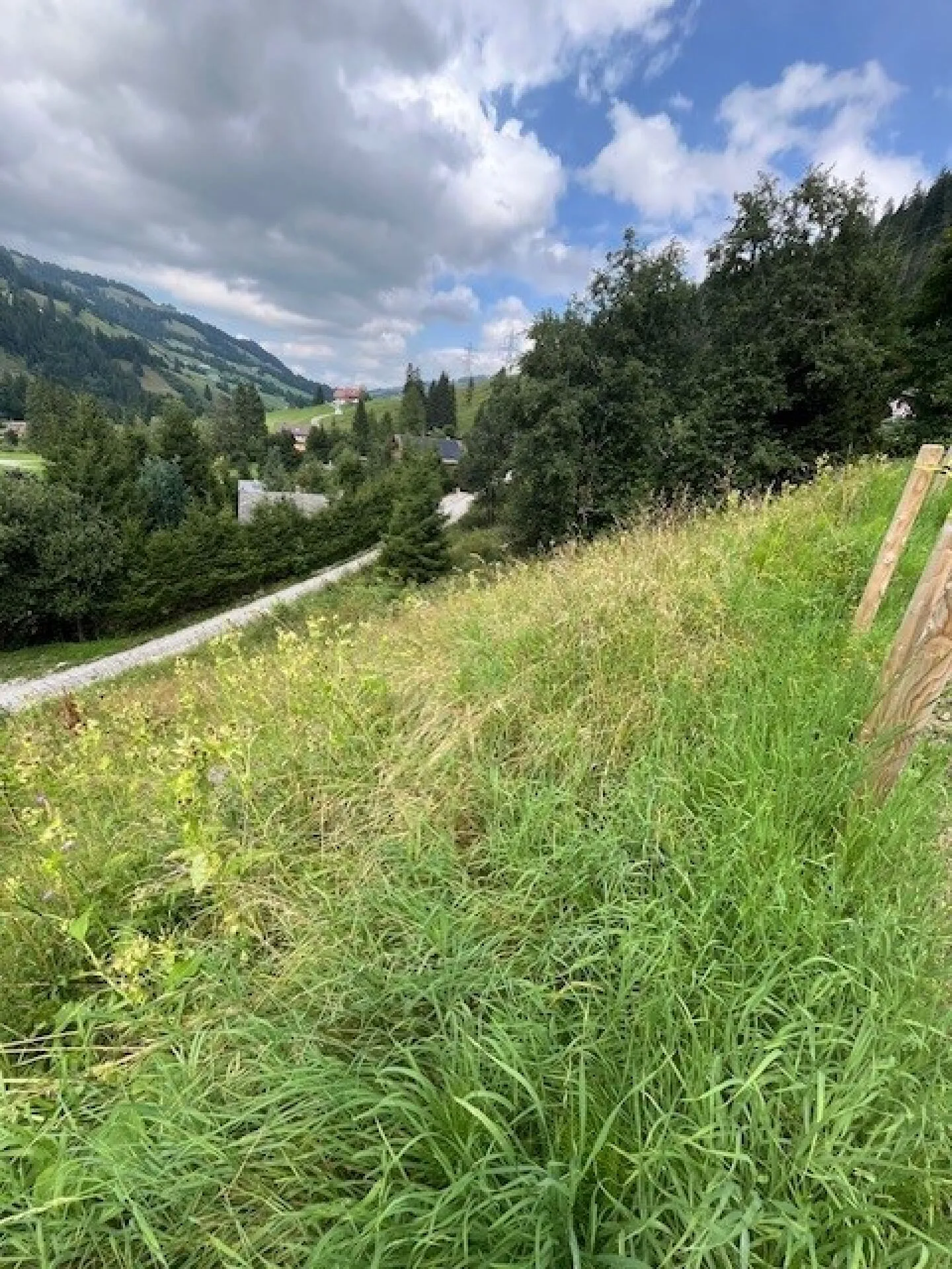 Terrain à bâtir spacieux dans un emplacement élevé à Plaffeien FR - Schwarzsee - Photo 8 sur 16