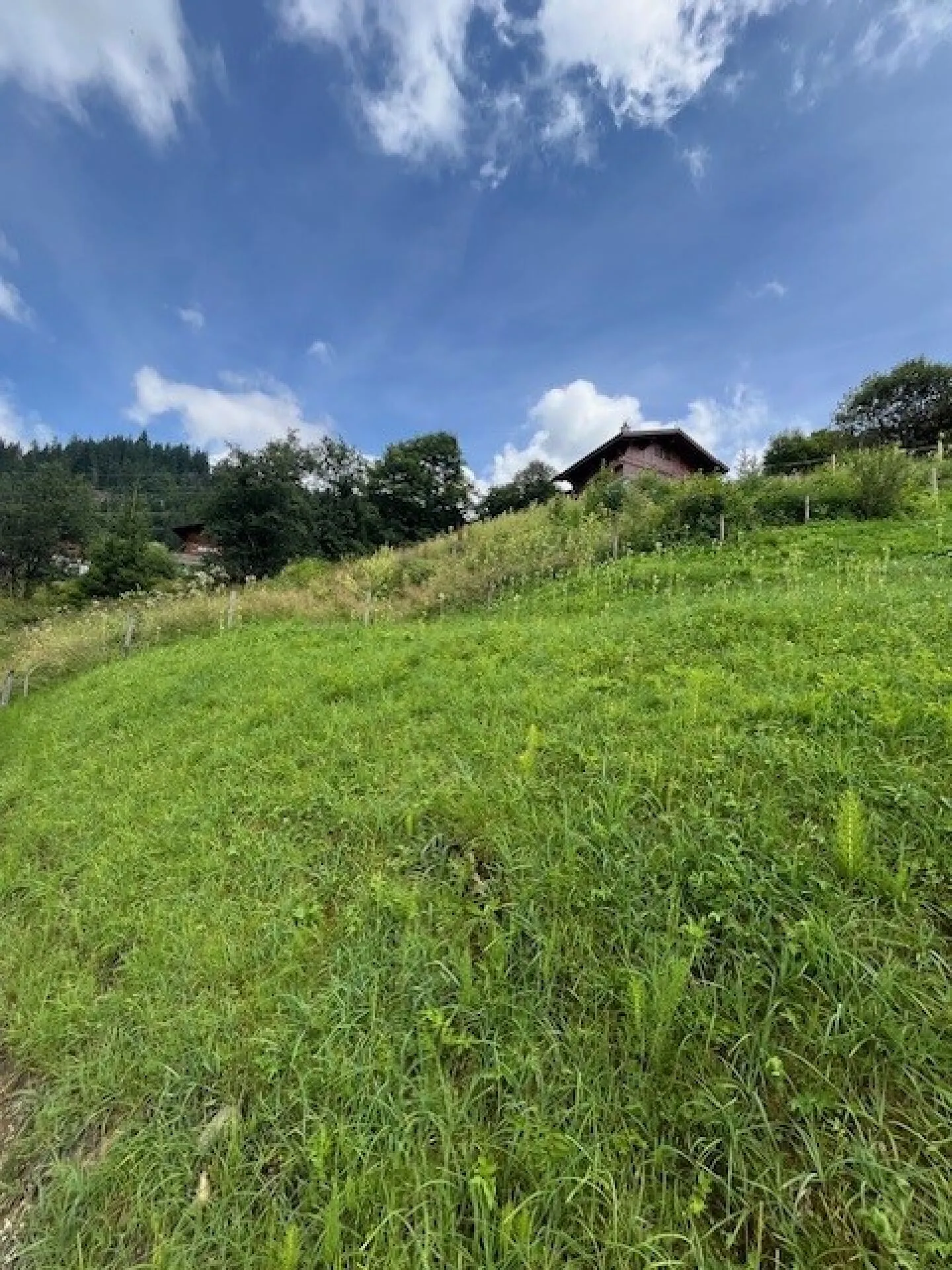 Terrain à bâtir spacieux dans un emplacement élevé à Plaffeien FR - Schwarzsee - Photo 9 sur 16