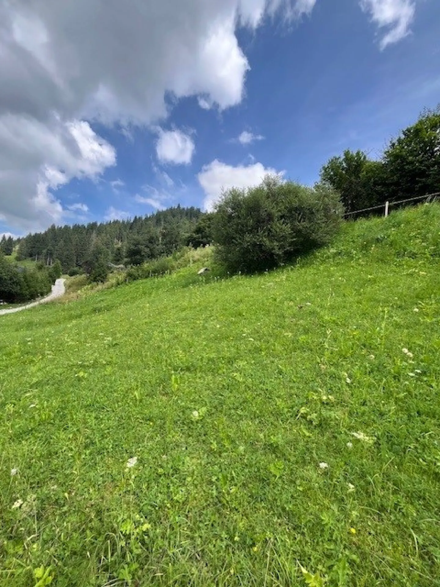 Terrain à bâtir spacieux dans un emplacement élevé à Plaffeien FR - Schwarzsee - Photo 10 sur 16