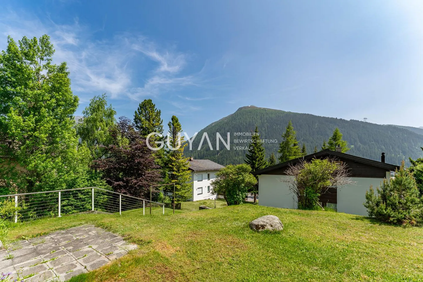 3-ZW BARBATA NR. 10 - Photo 3 of 20