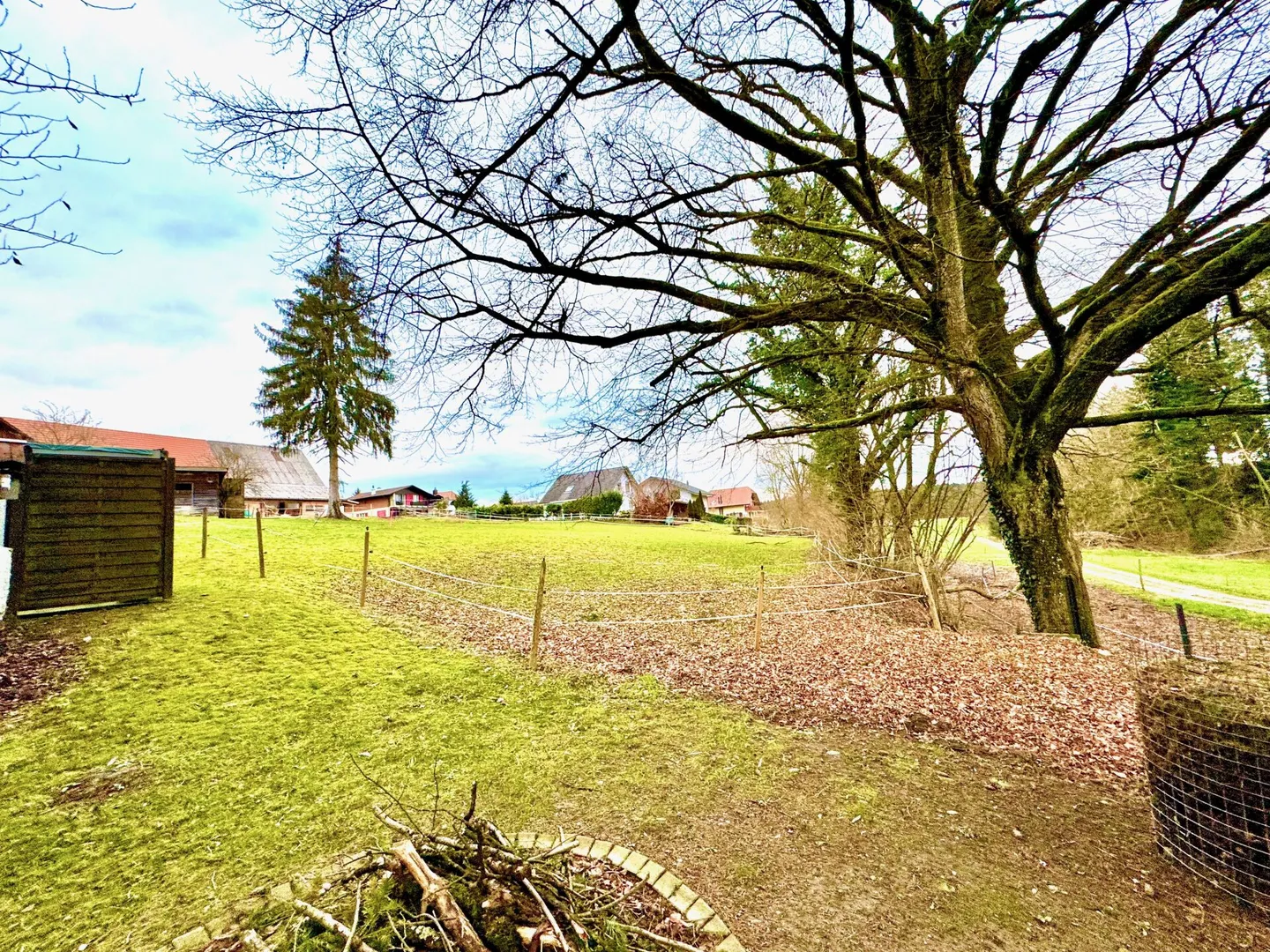 Bauland an ruhiger Lage - Foto 1 von 1