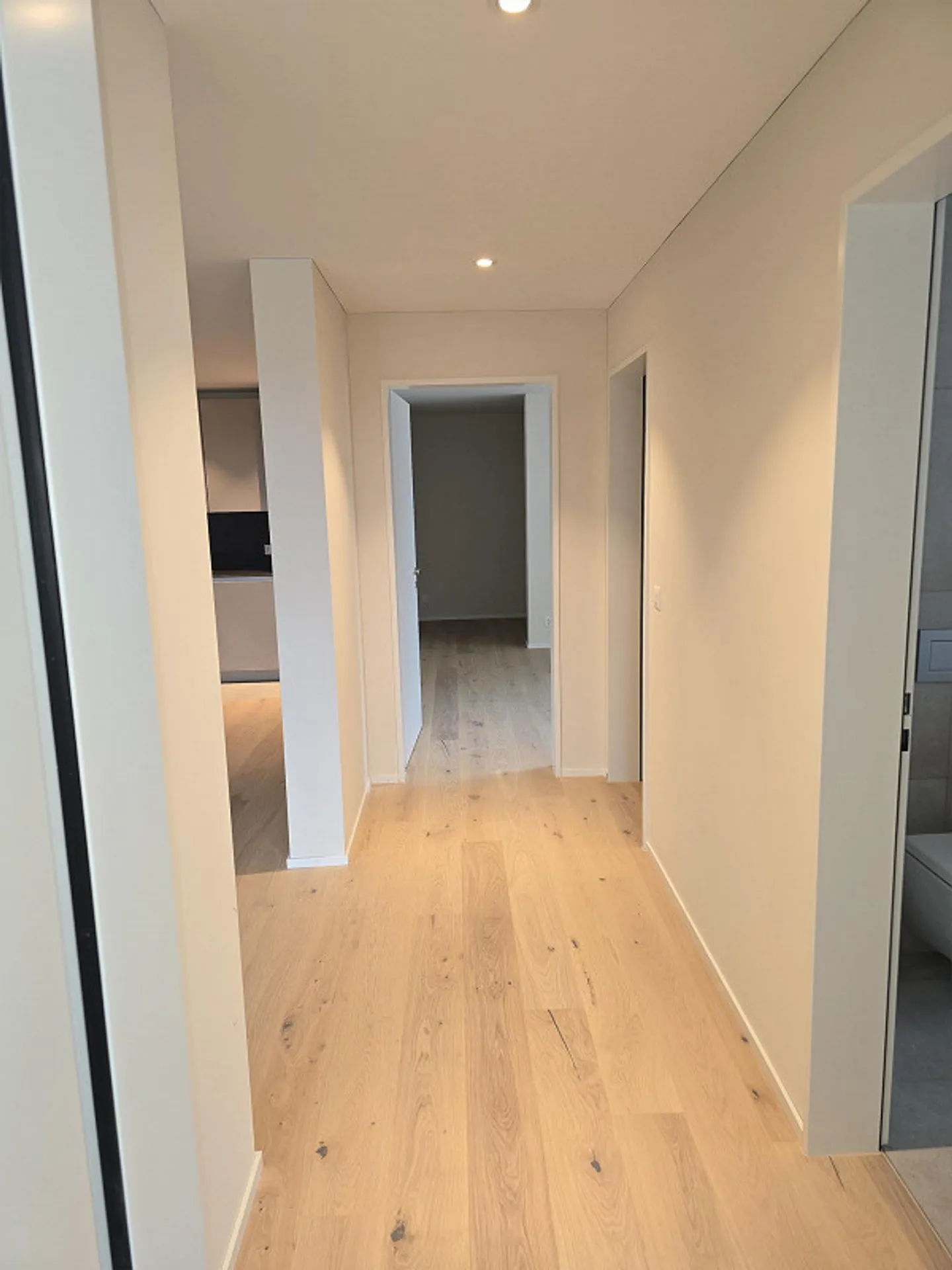 🏡 Nouvelle location à Rifferswil! 🌳 Développement "Obschtgarte" - Photo 3 sur 8