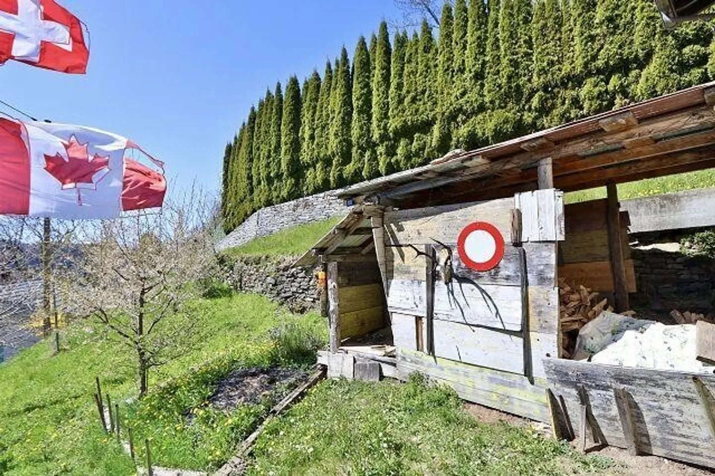 Casa di 3 1/2 locali molto tranquilla, soleggiata e bella vista - Foto 13 di 13