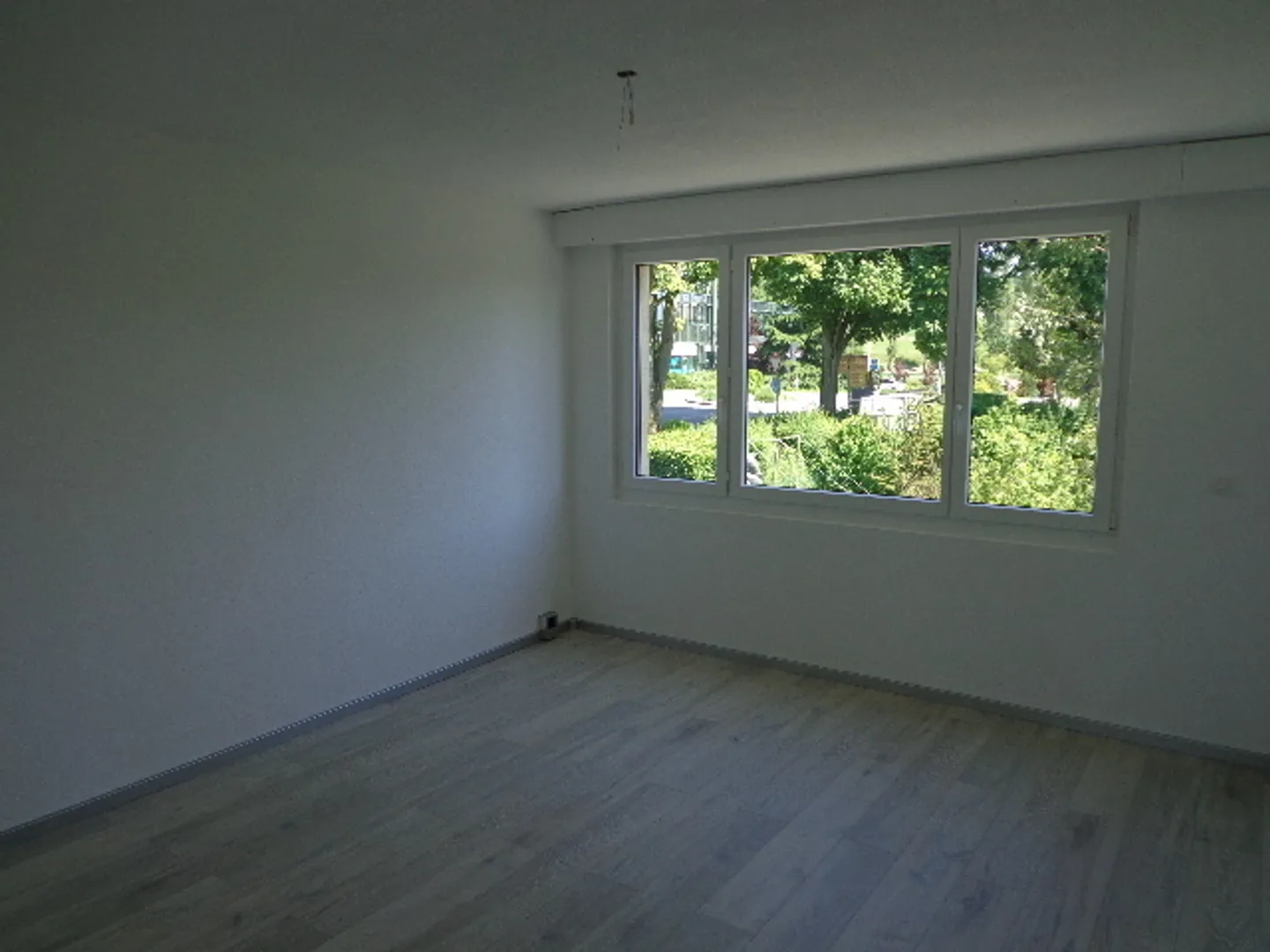 The Opportunity! - Photo 5 of 9