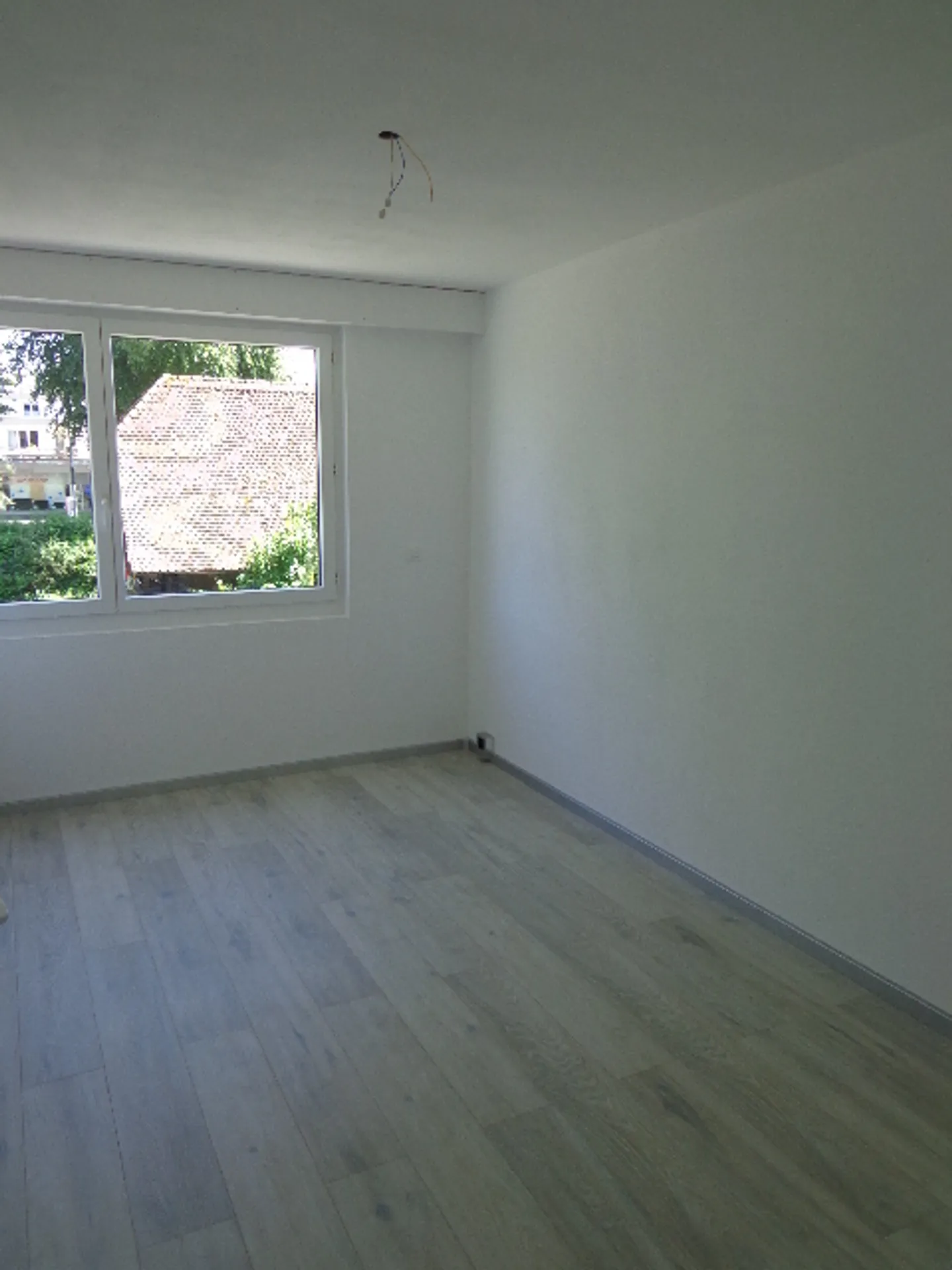 The Opportunity! - Photo 7 of 9