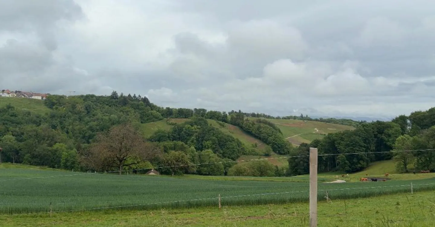 Zu verkaufen: Einfamilienhaus mit 3,5 Zimmern in Aubonne - Foto 1 von 5
