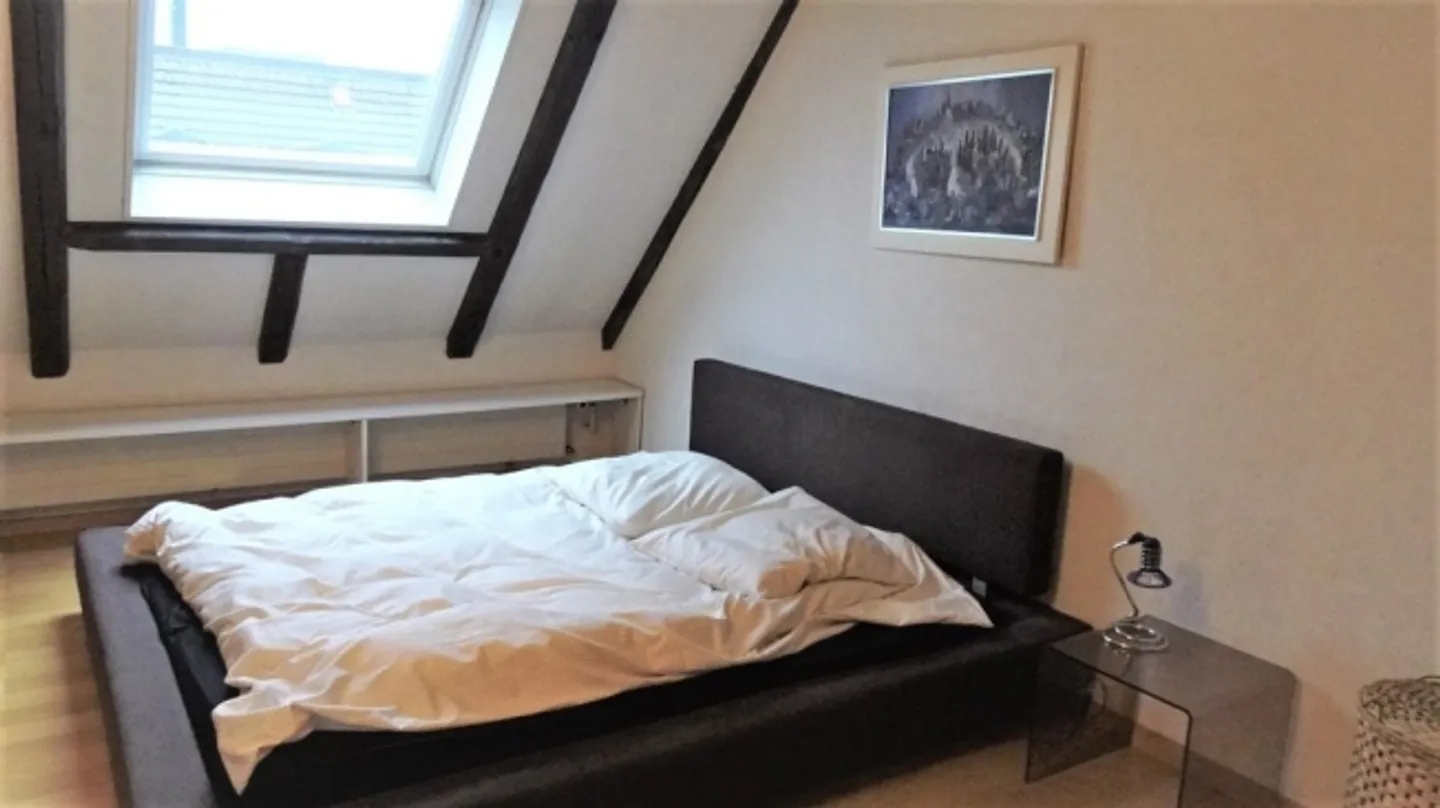 FURNISHED apartment with its own roof terrace - Photo 3 of 8