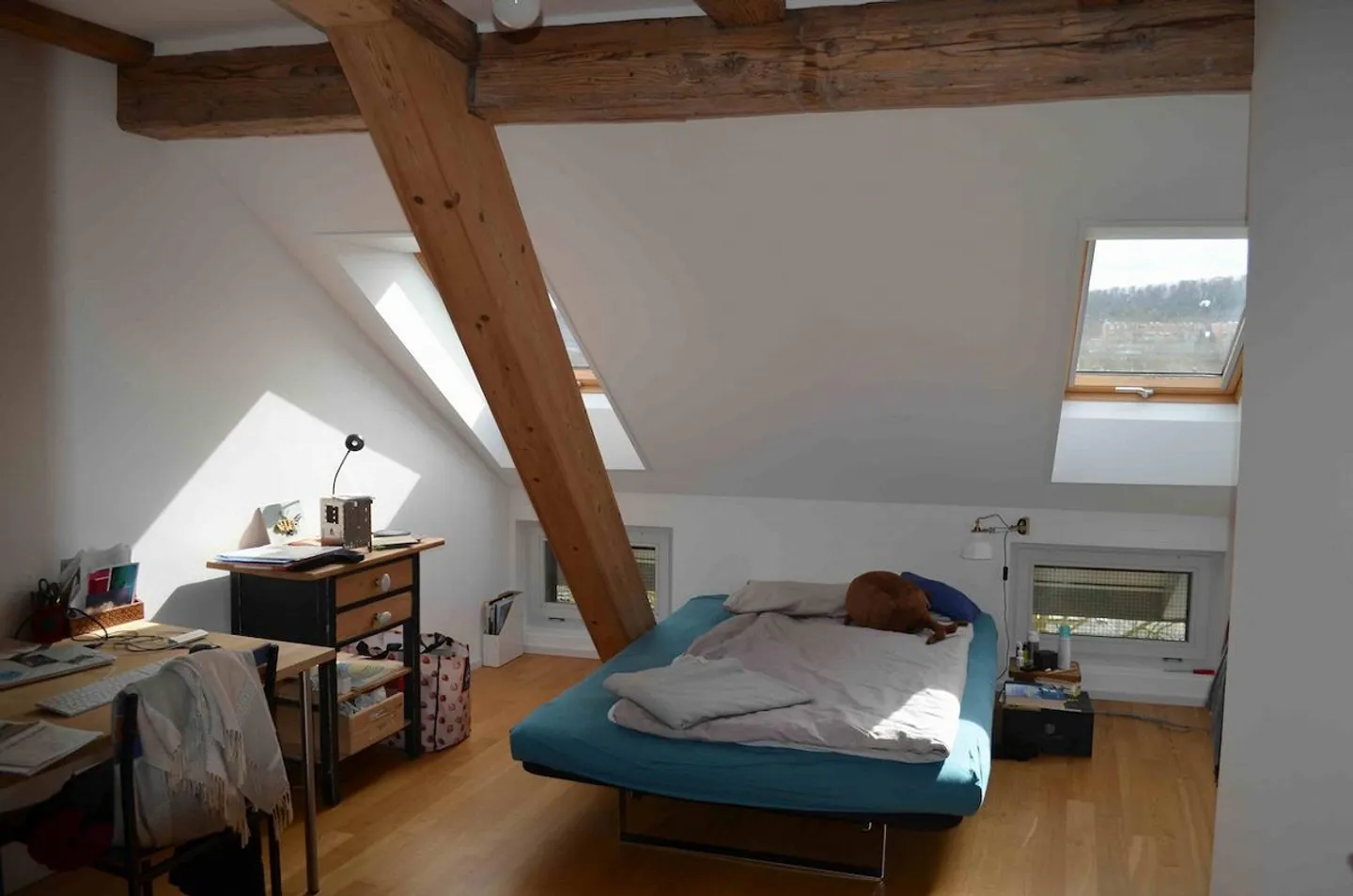 Central: Large Duplex/Maisonette Apartment in the Old Town of Olten - Photo 13 of 20