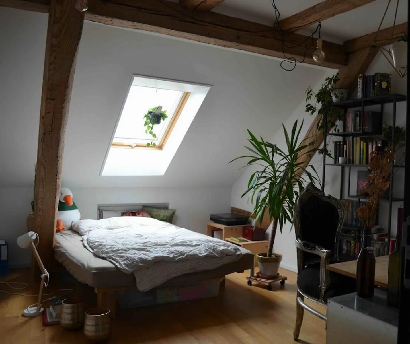 Central: Large Duplex/Maisonette Apartment in the Old Town of Olten - Photo 14 of 20