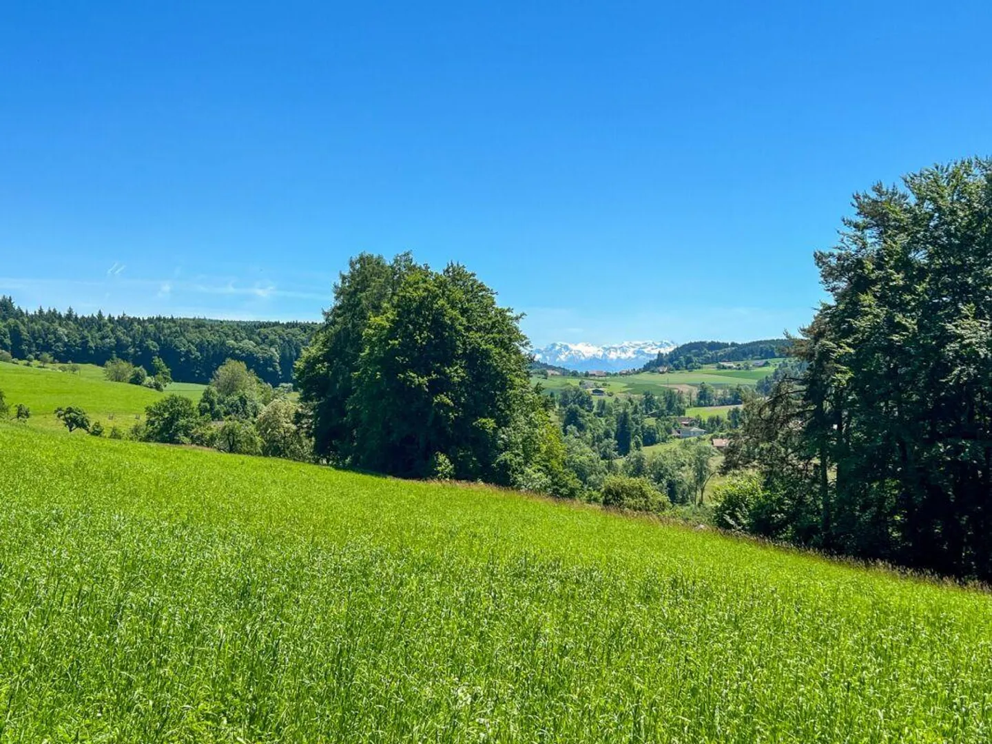 Ruedertalblick - Arrive at home, experience nature and security - Photo 4 of 8