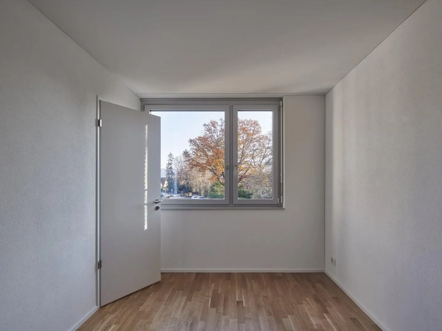 Modern Development in Reinach - Photo 4 of 6
